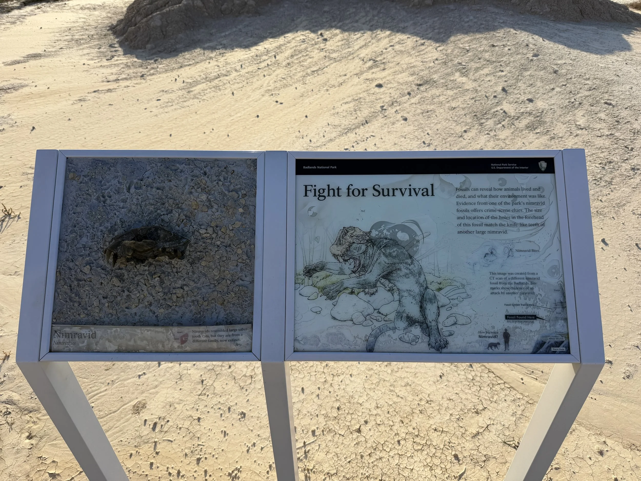 Fossil Exhibit Trail Badlands National Park South Dakota