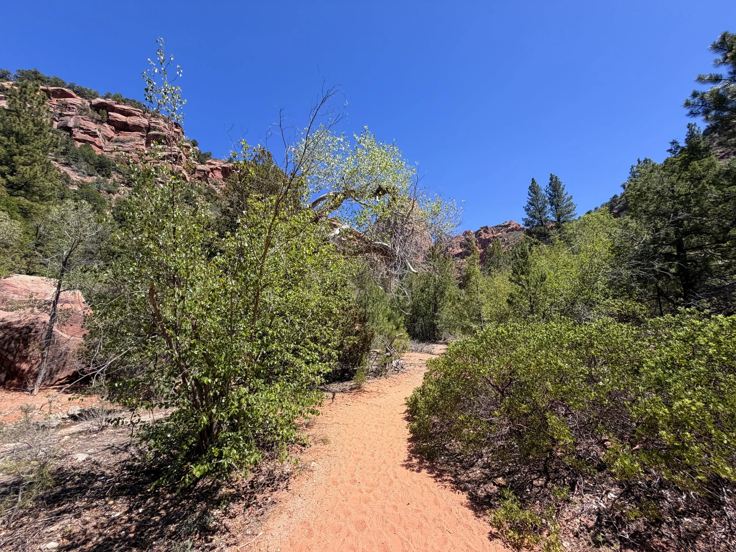 Middle Taylor Creek Hike Zion National Park Utah