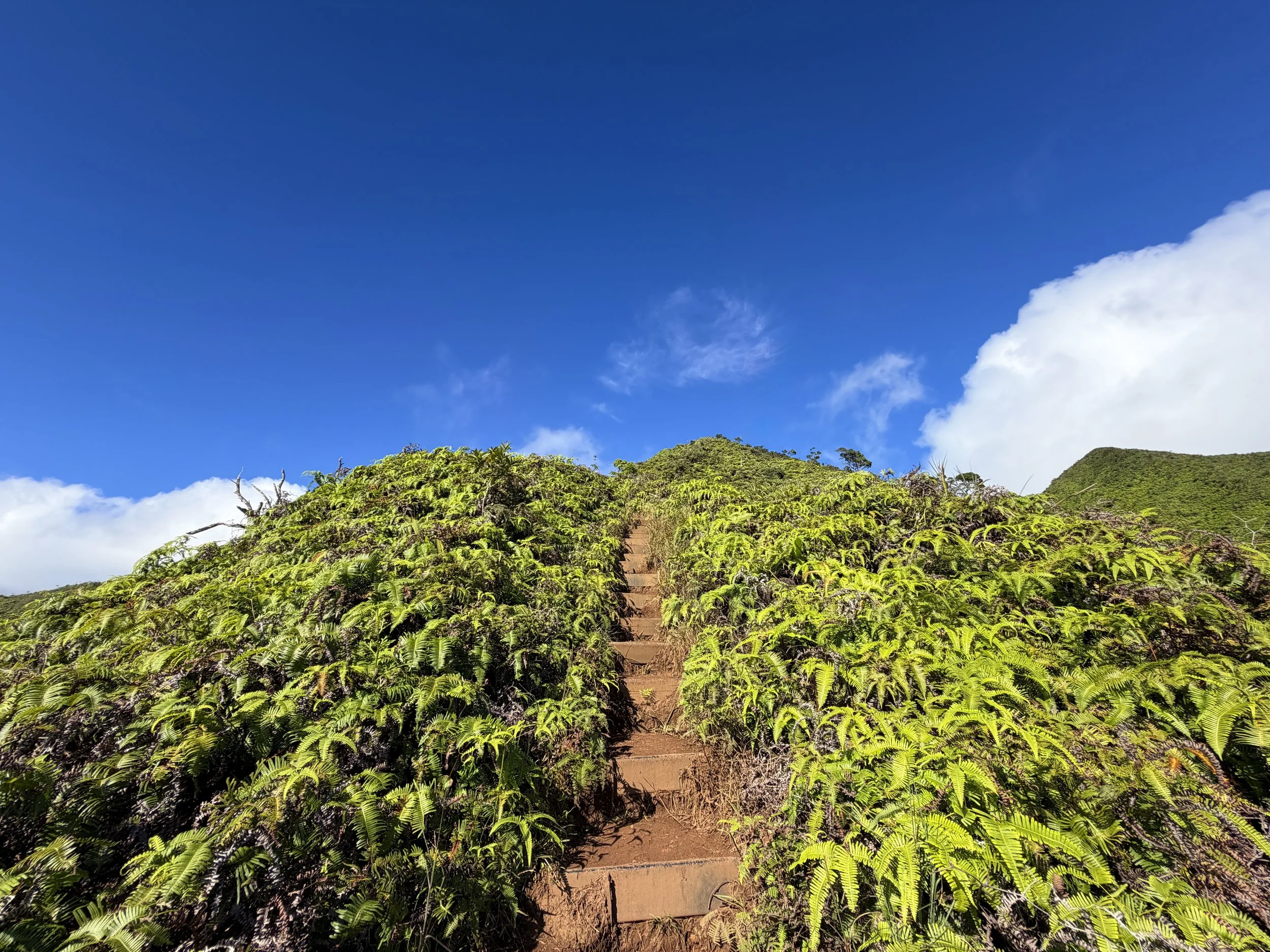 Wiliwilinui Ridge Trail Stairs Oahu Hawaii