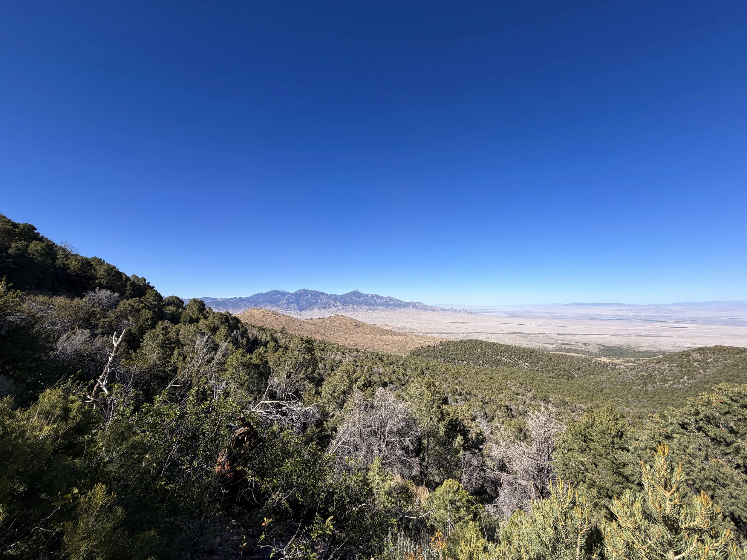 Osceola Ditch Trail Great Basin National Park Nevada