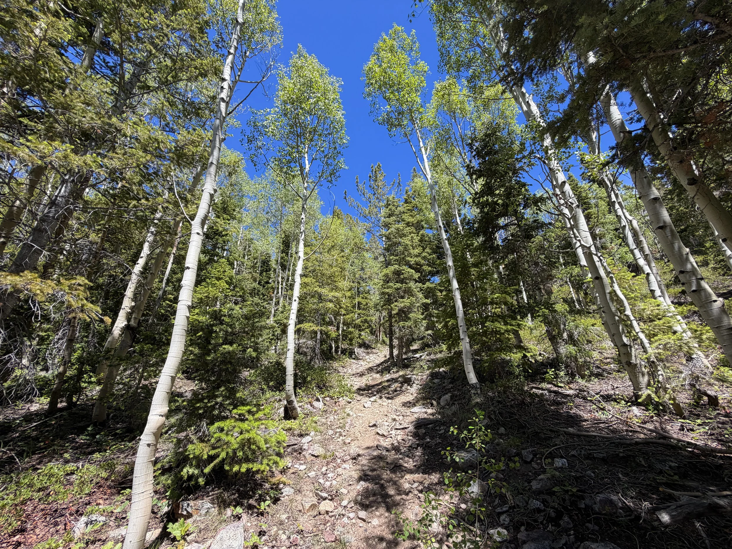 Dead Lake Hike Great Basin National Park Nevada