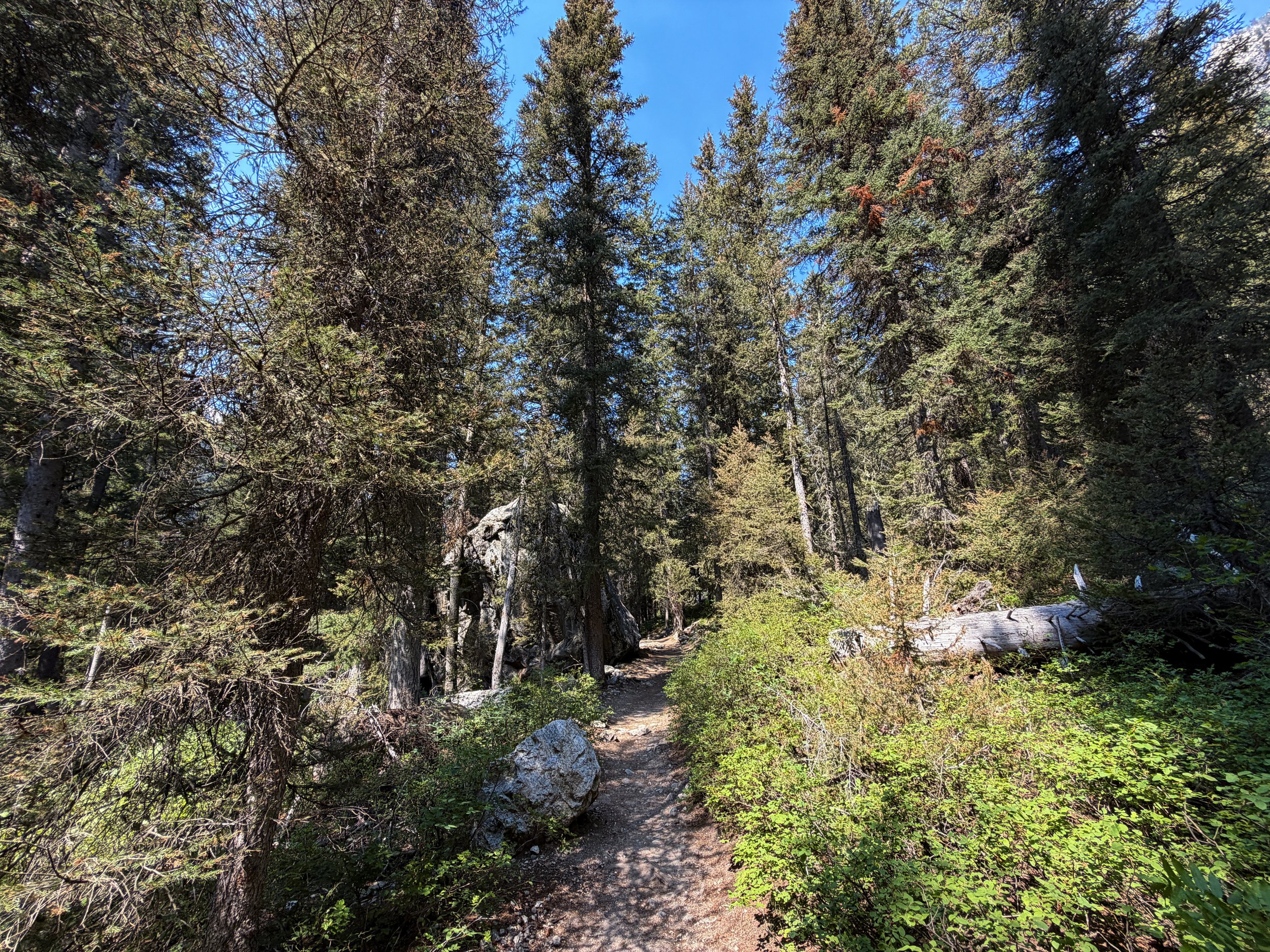 Cascade Canyon Trail Grand Teton National Park Wyoming