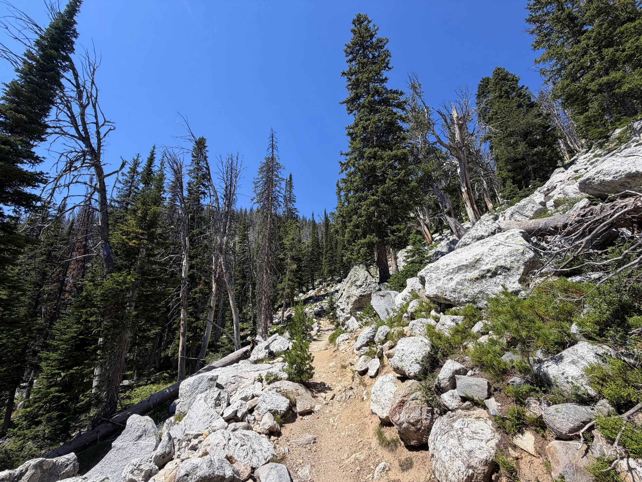 Surprise and Amphitheater Lakes Trail Grand Teton National Park Wyoming