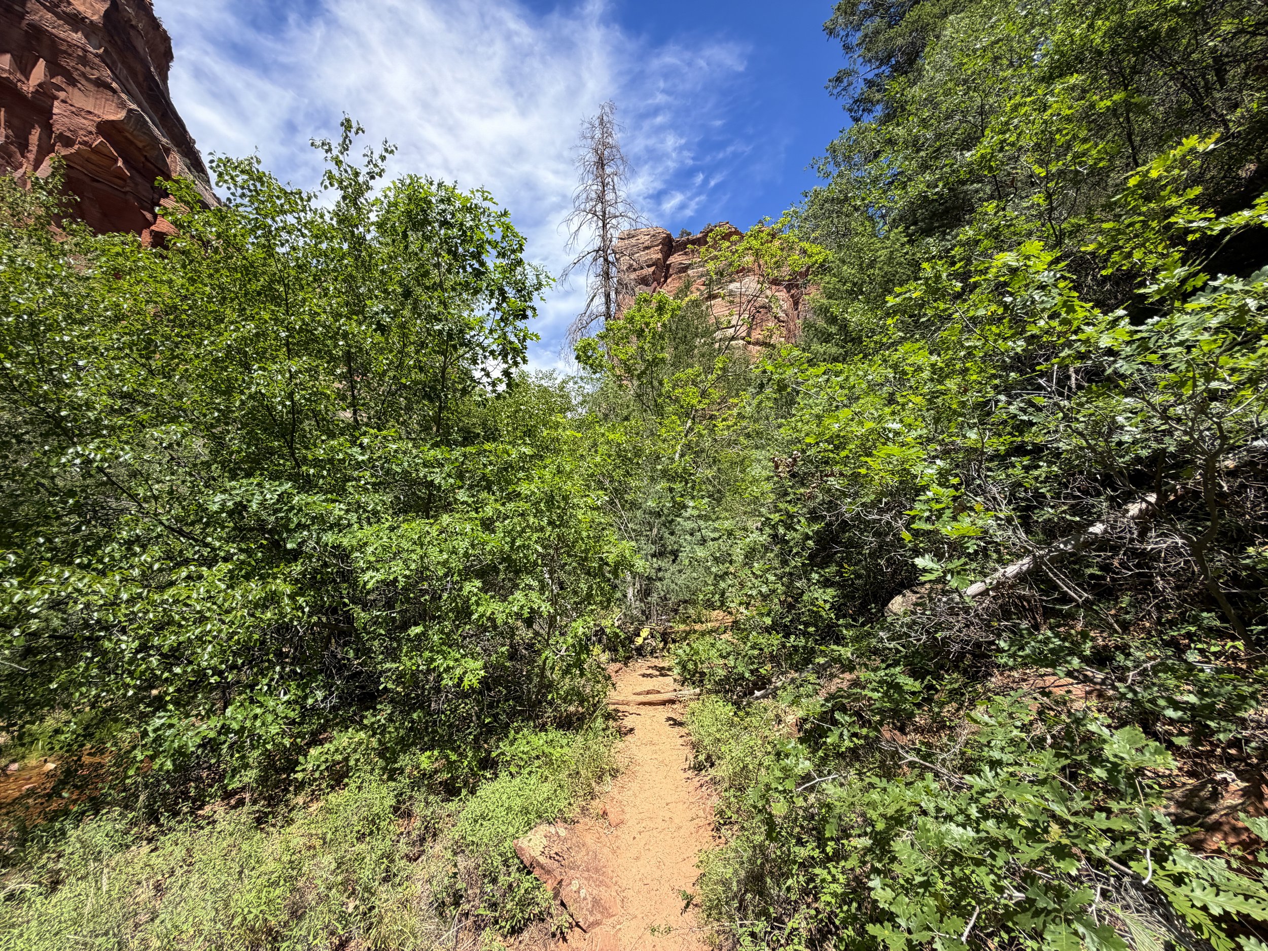 Left Fork Trail to the Subway Zion National Park Utah