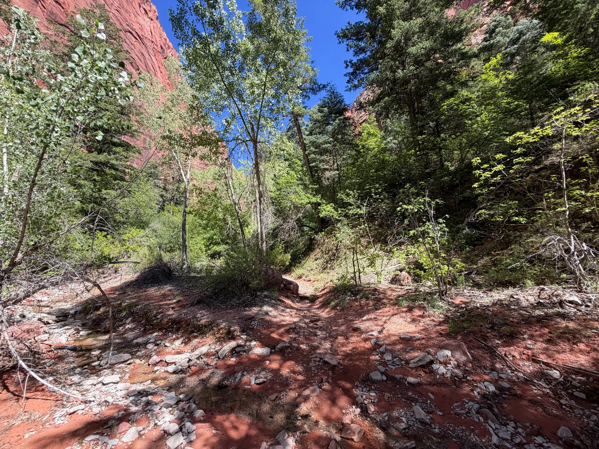 Middle Taylor Creek Trail Zion National Park Utah