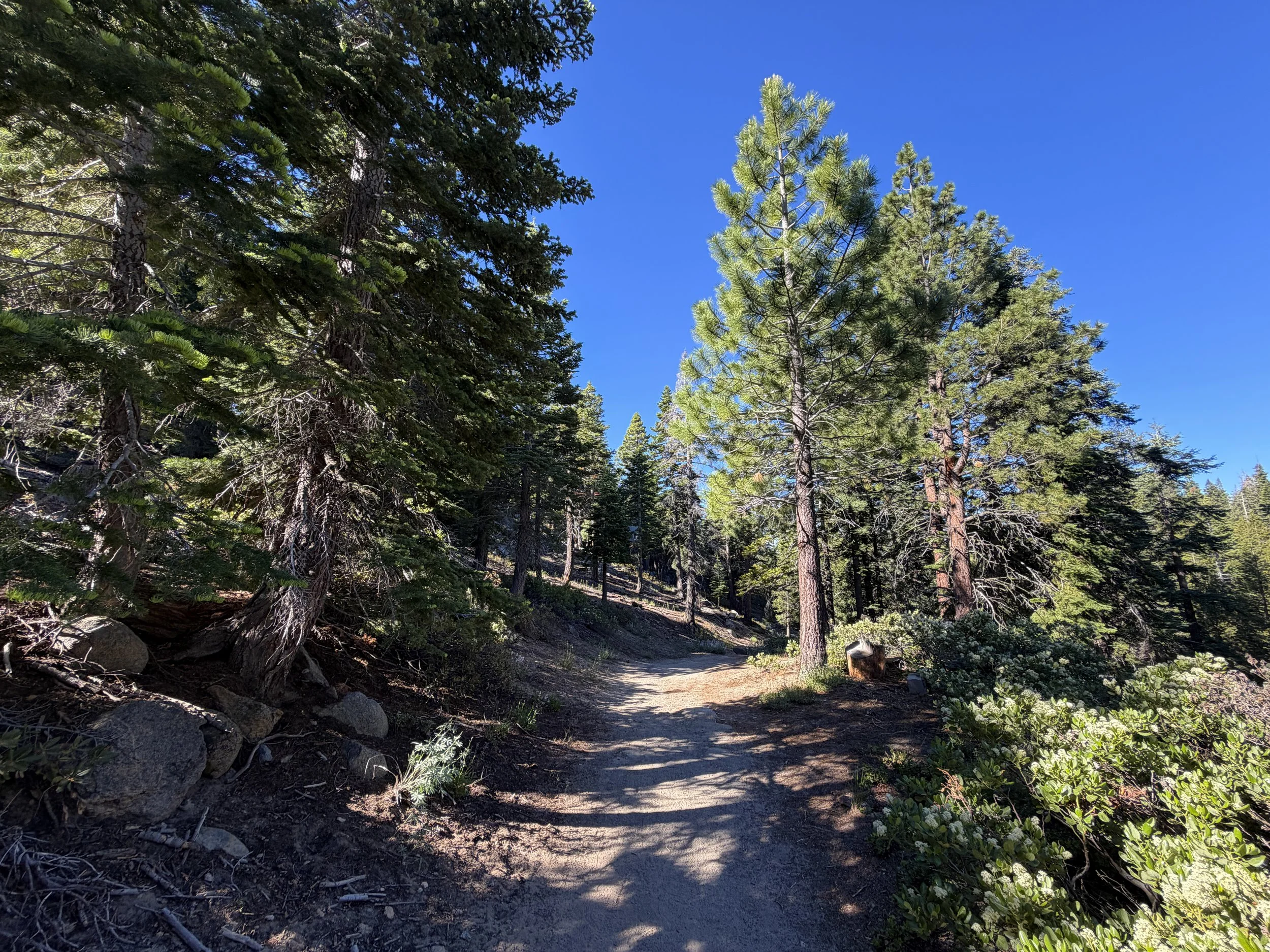 Castle Rock Trail Lake Tahoe Nevada