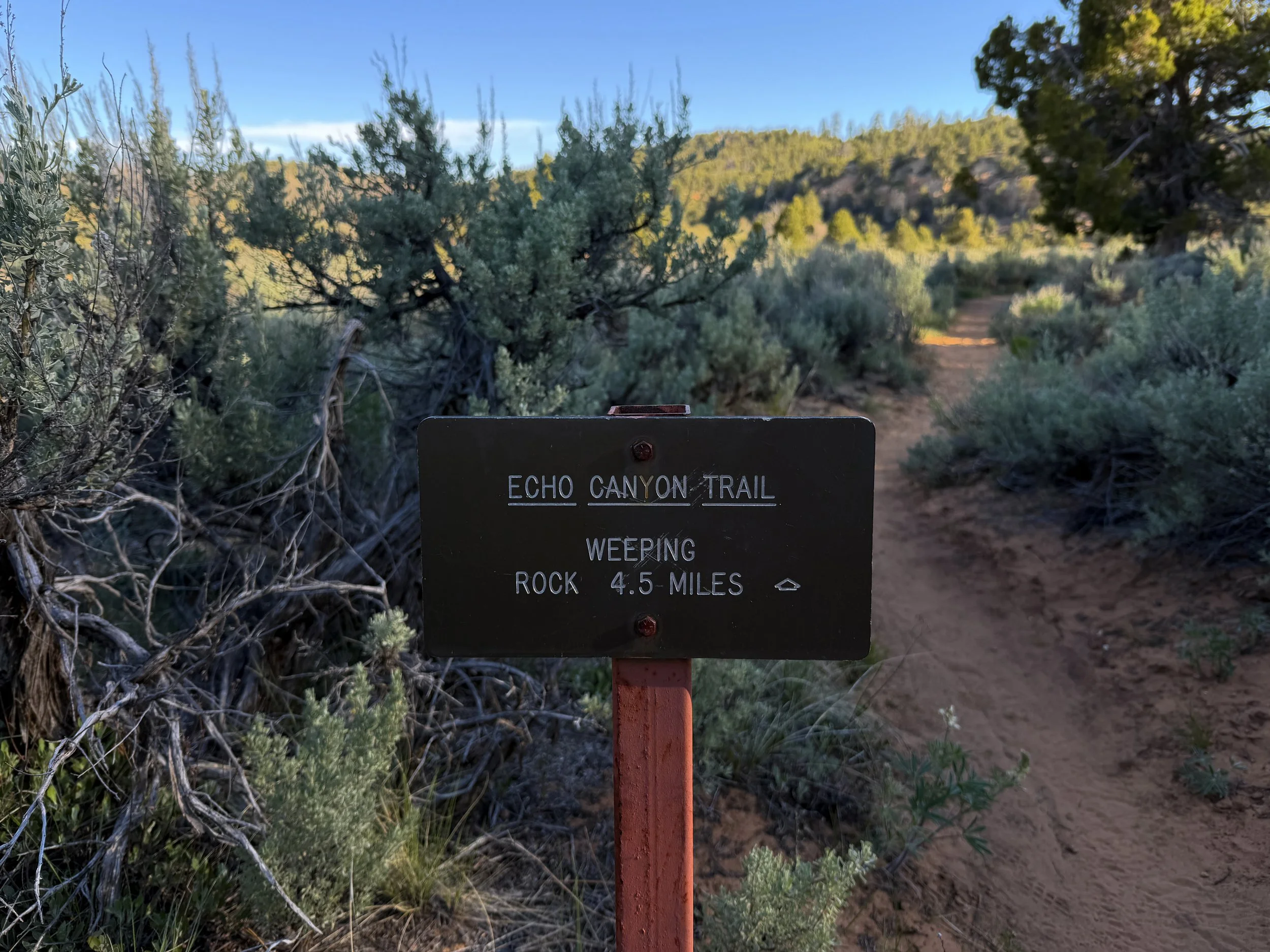 Deertrap Mountain Trail via Stave Spring Zion National Park Utah