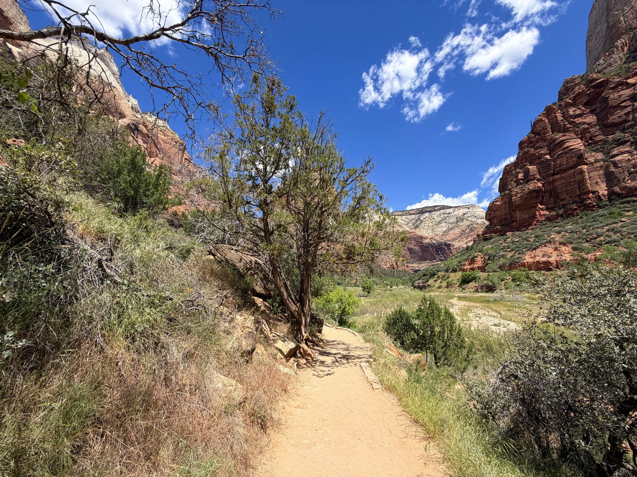 Angels Landing Trail Zion National Park Utah