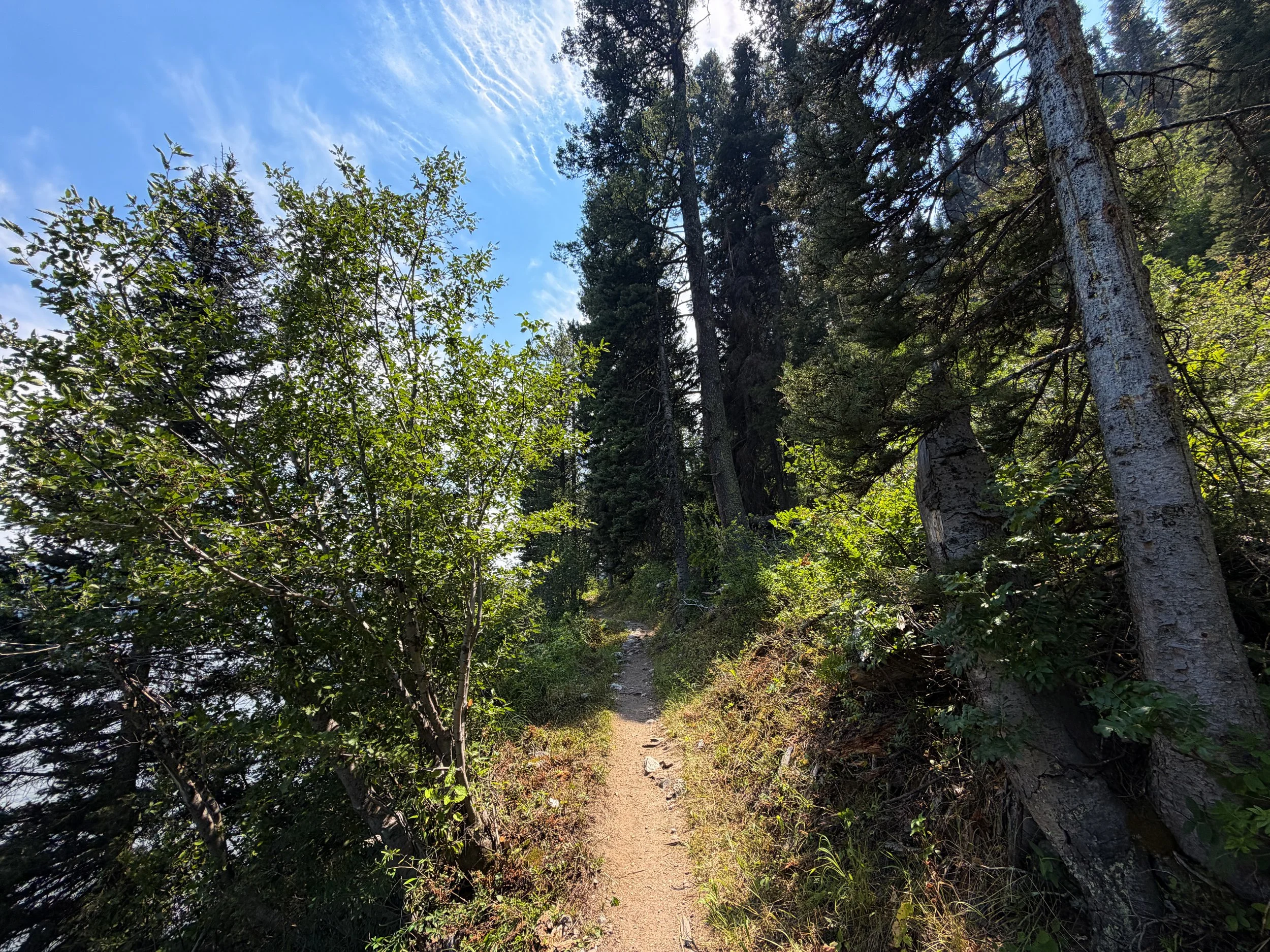Phelps Lake Hike Grand Teton National Park Wyoming