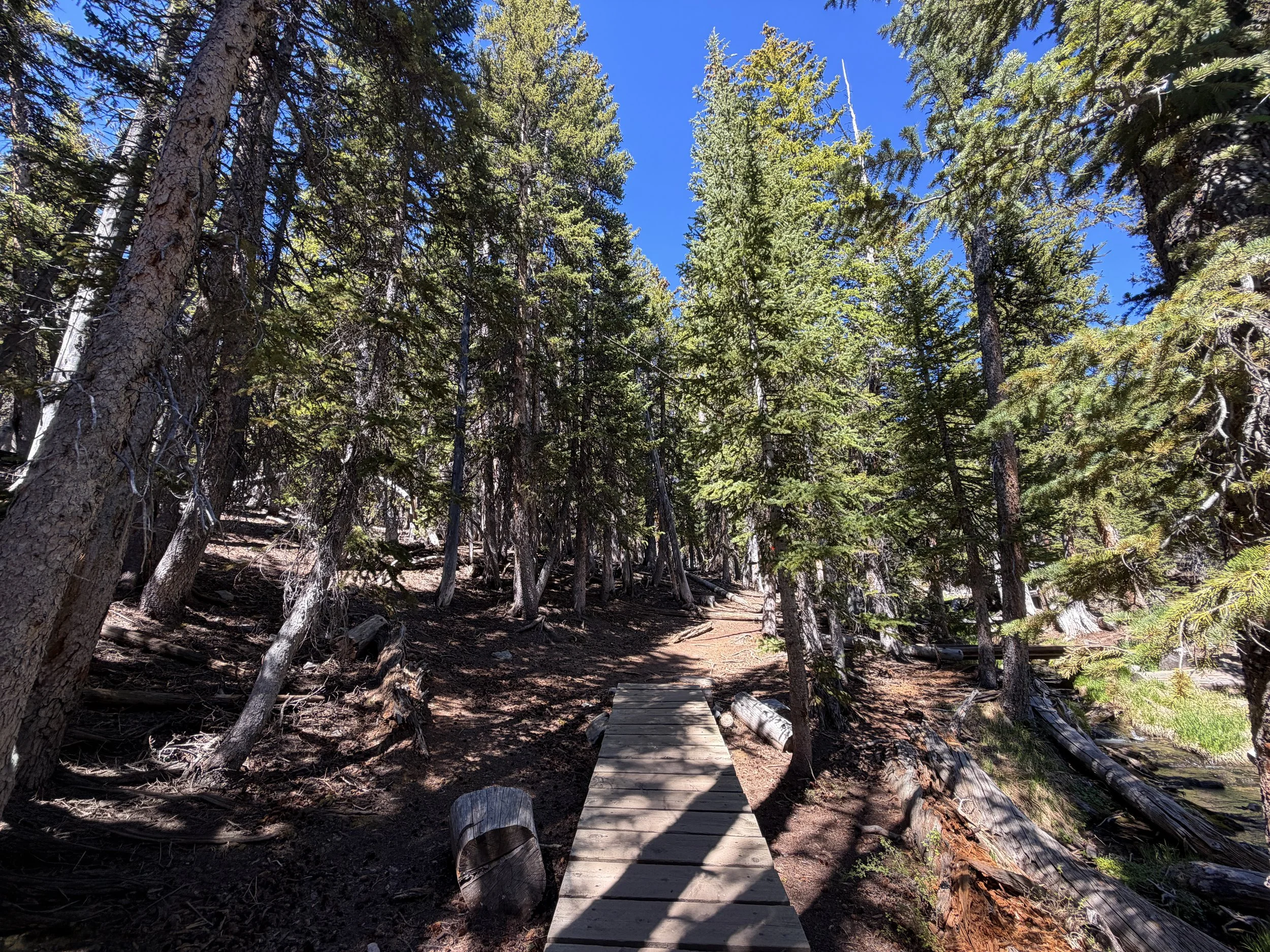 Alpine Lakes Loop Trail Great Basin National Park Nevada