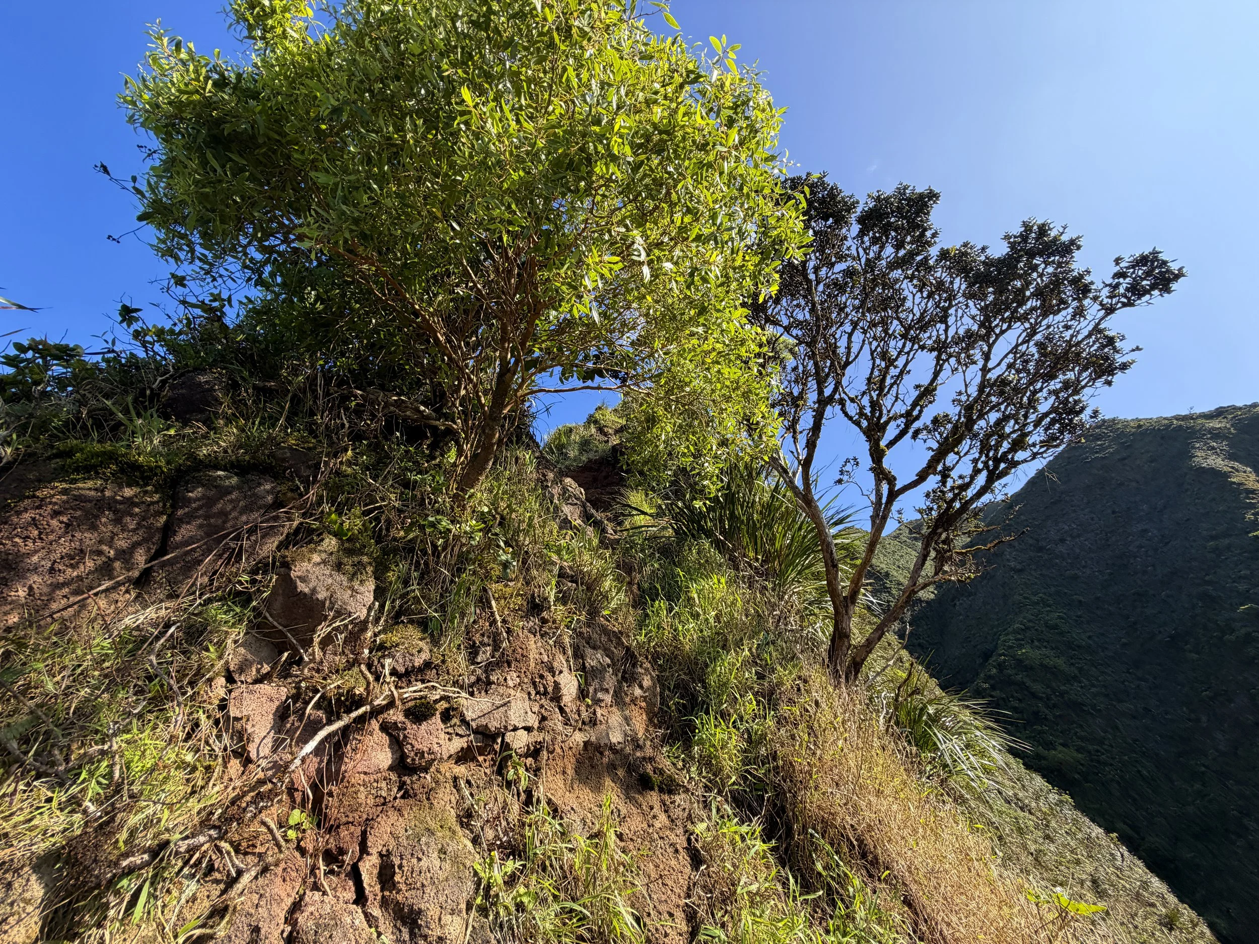 Moanalua Saddle to Stairway to Heaven KST Oahu Hawaii
