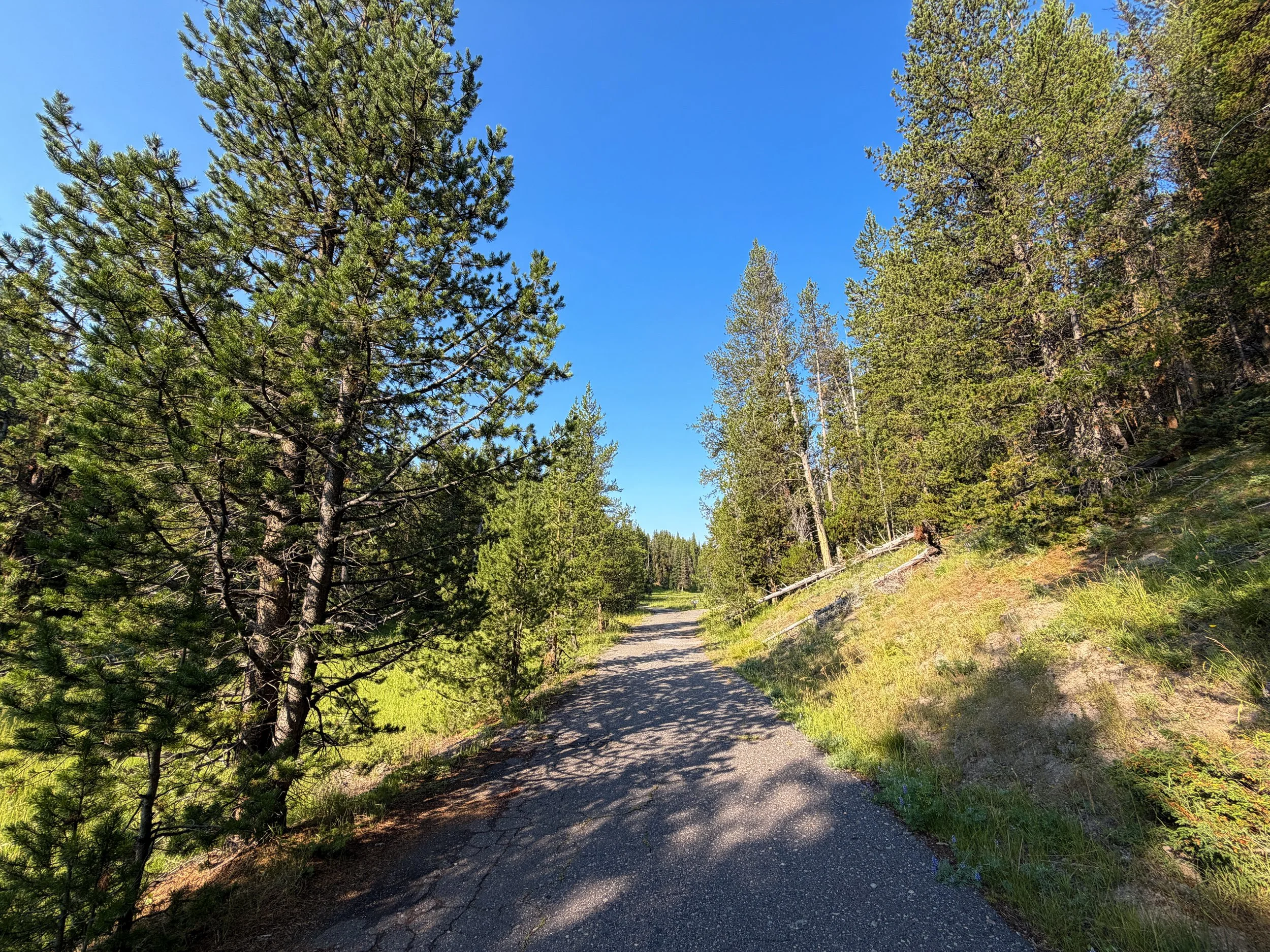 Natural Bridge Hike Yellowstone National Park Wyoming