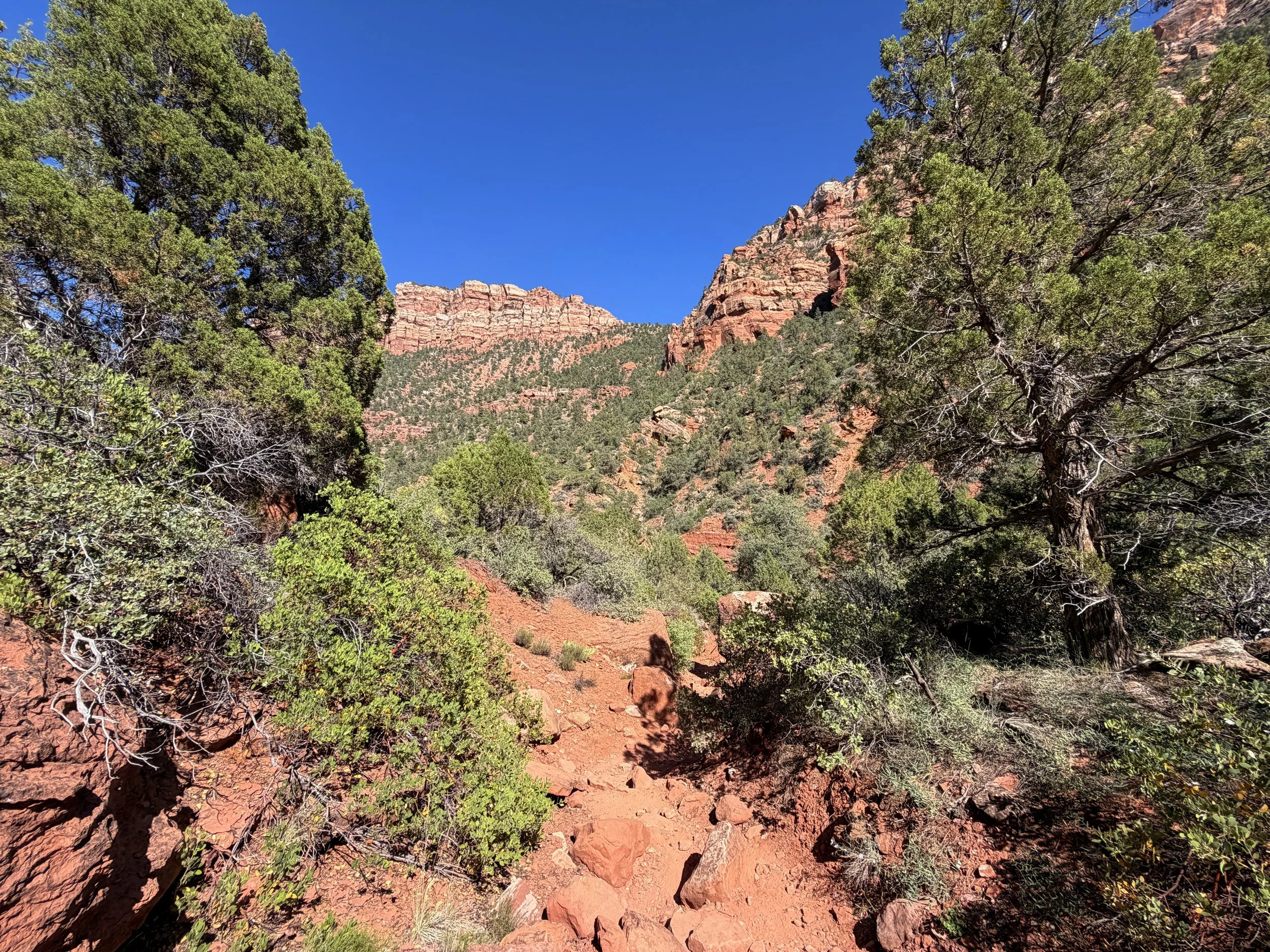 Subway Trail Bottom Up Zion National Park Utah