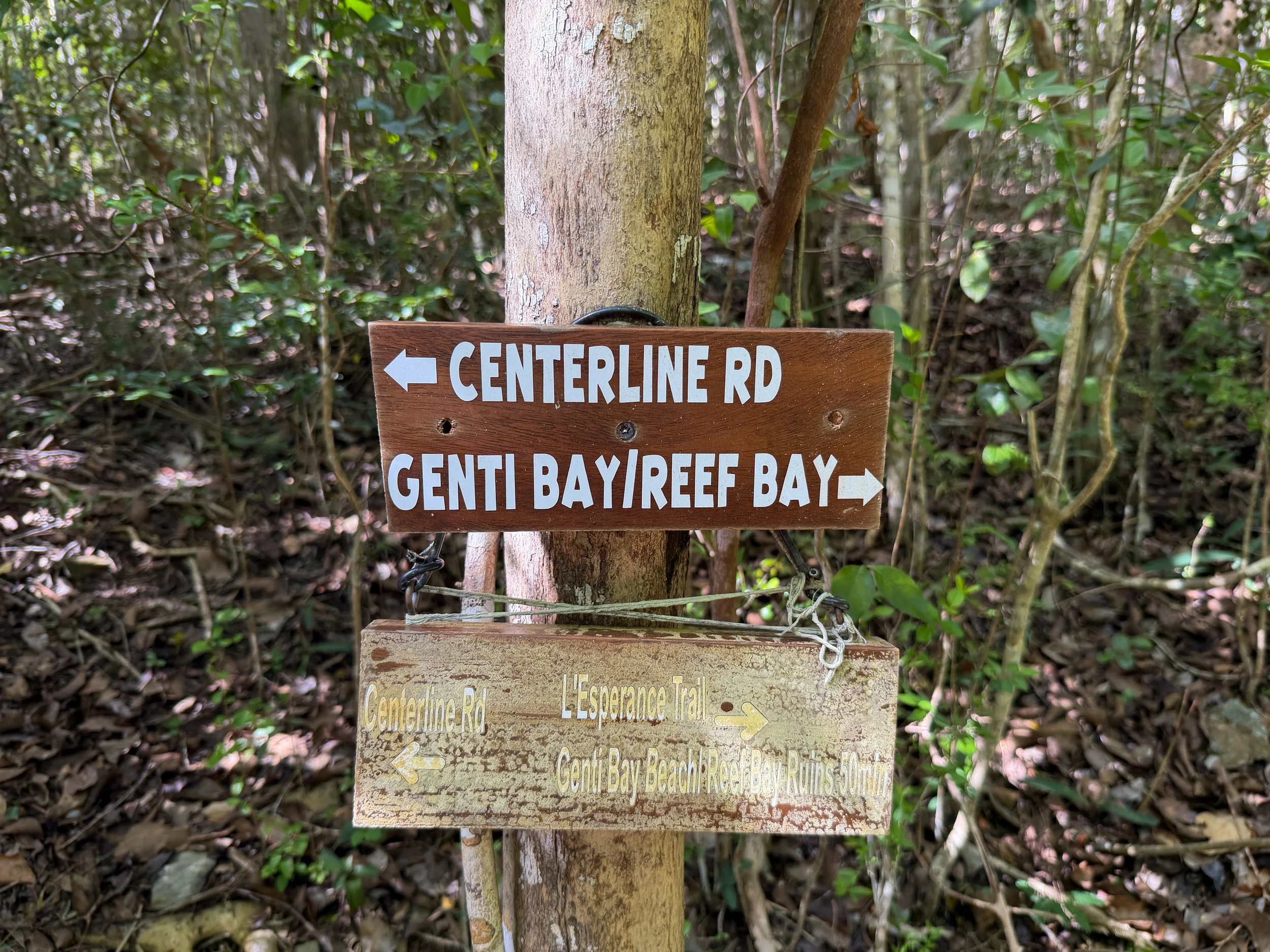 Great Sieben Trail Virgin Islands National Park