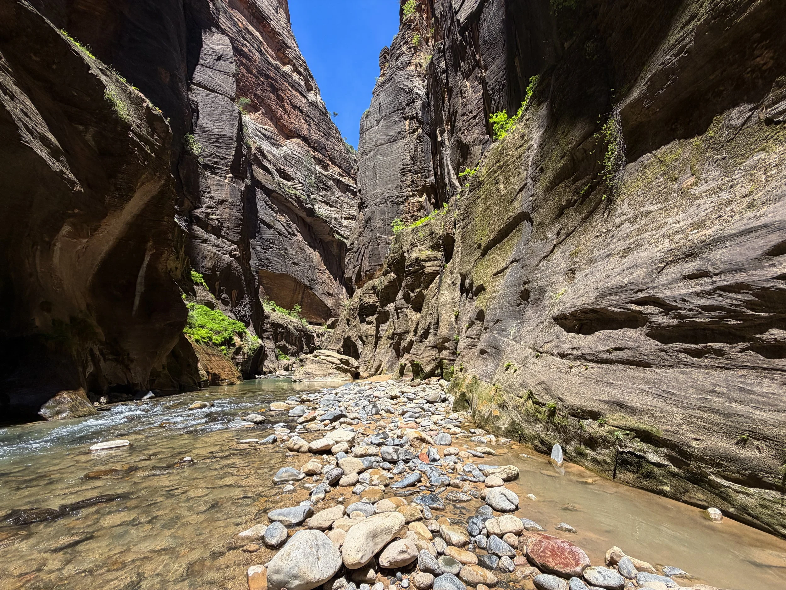 Wall Street Narrows Zion National Park Utah