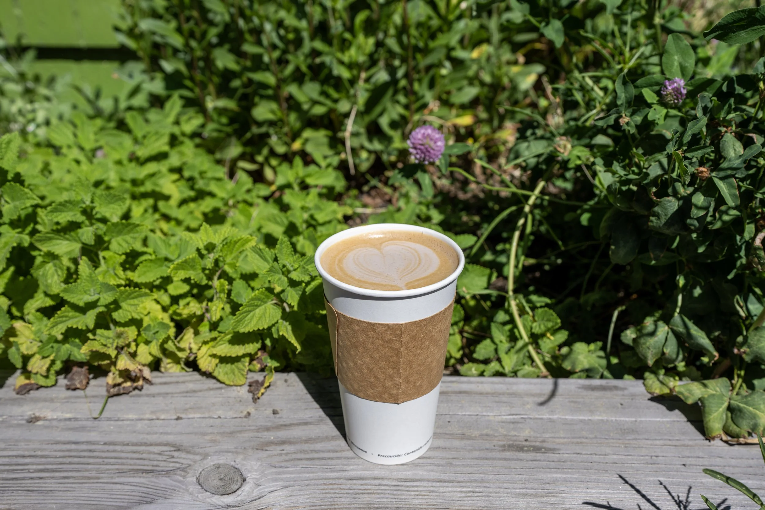 The Free Bird Coffee Shop South Lake Tahoe California