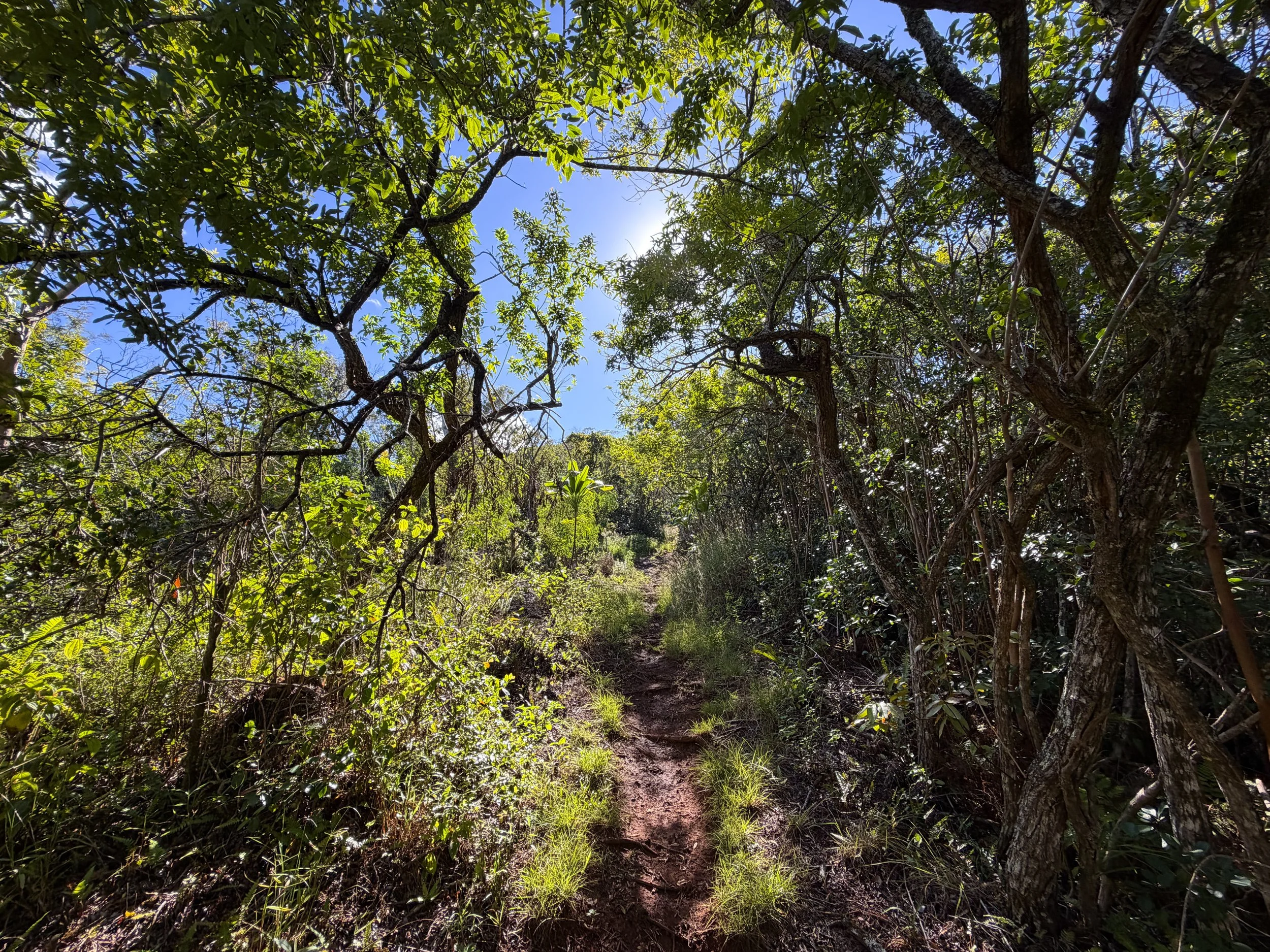 Mokuleia Trail Oahu Hawaii