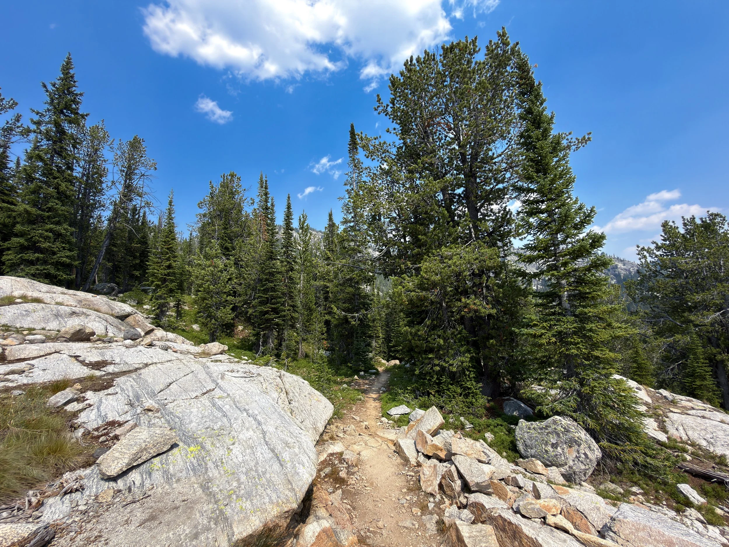 Russell Creek Trail The Beaten Path Beartooth Mountains Montana