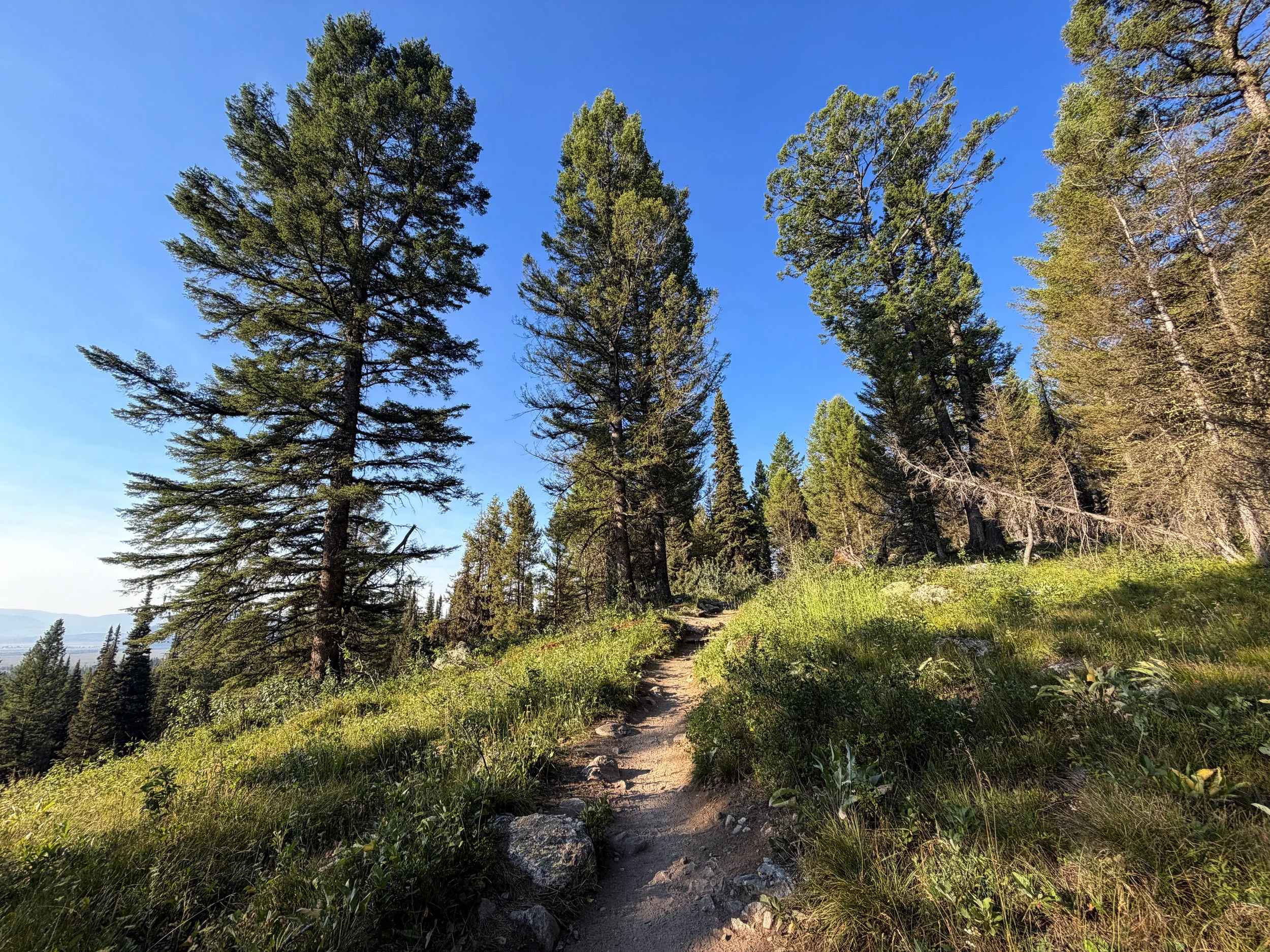Delta Lake Hike via Lupine Meadows Grand Teton National Park Wyoming