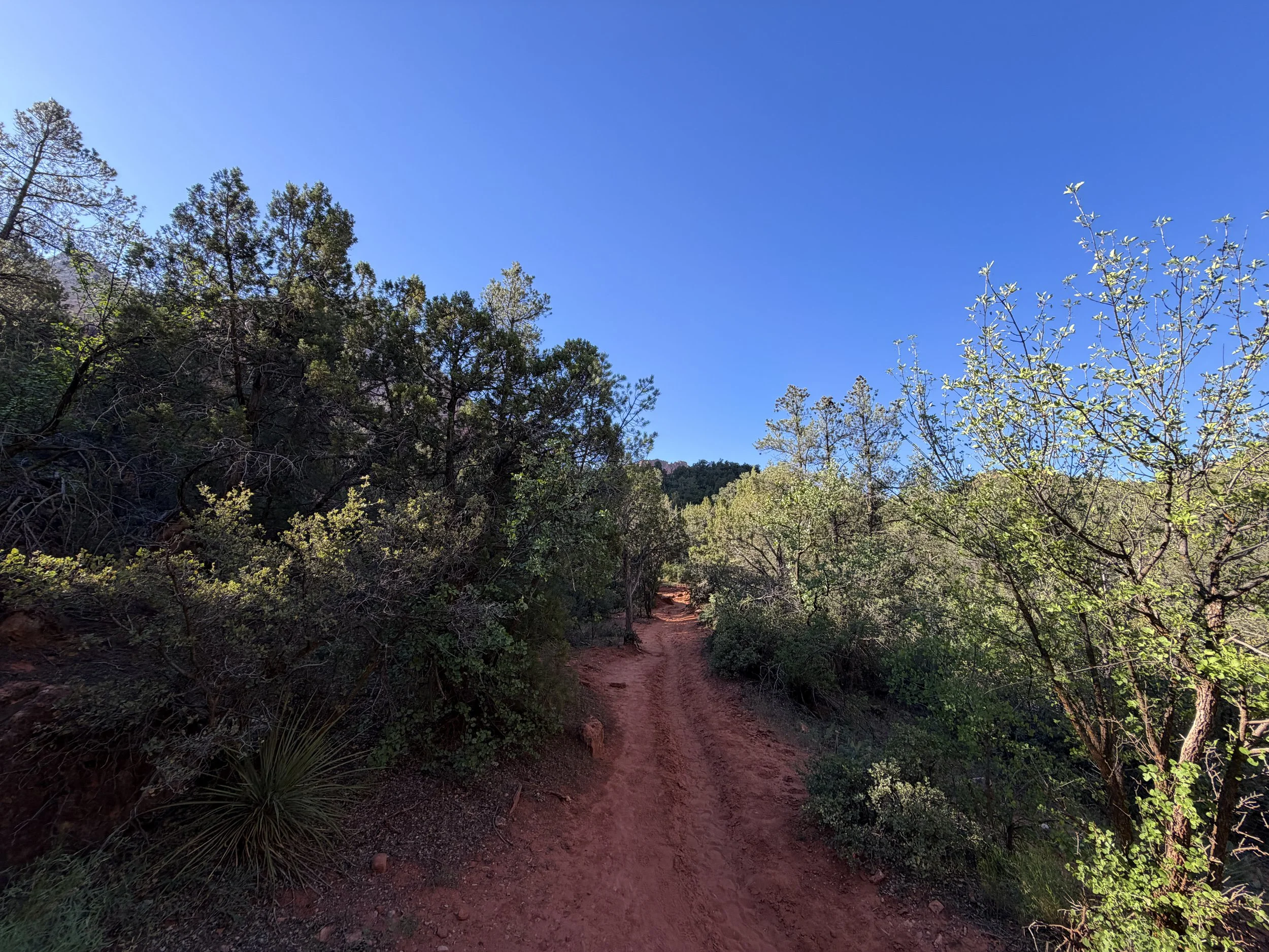 Sand Bench Trail Zion National Park Utah