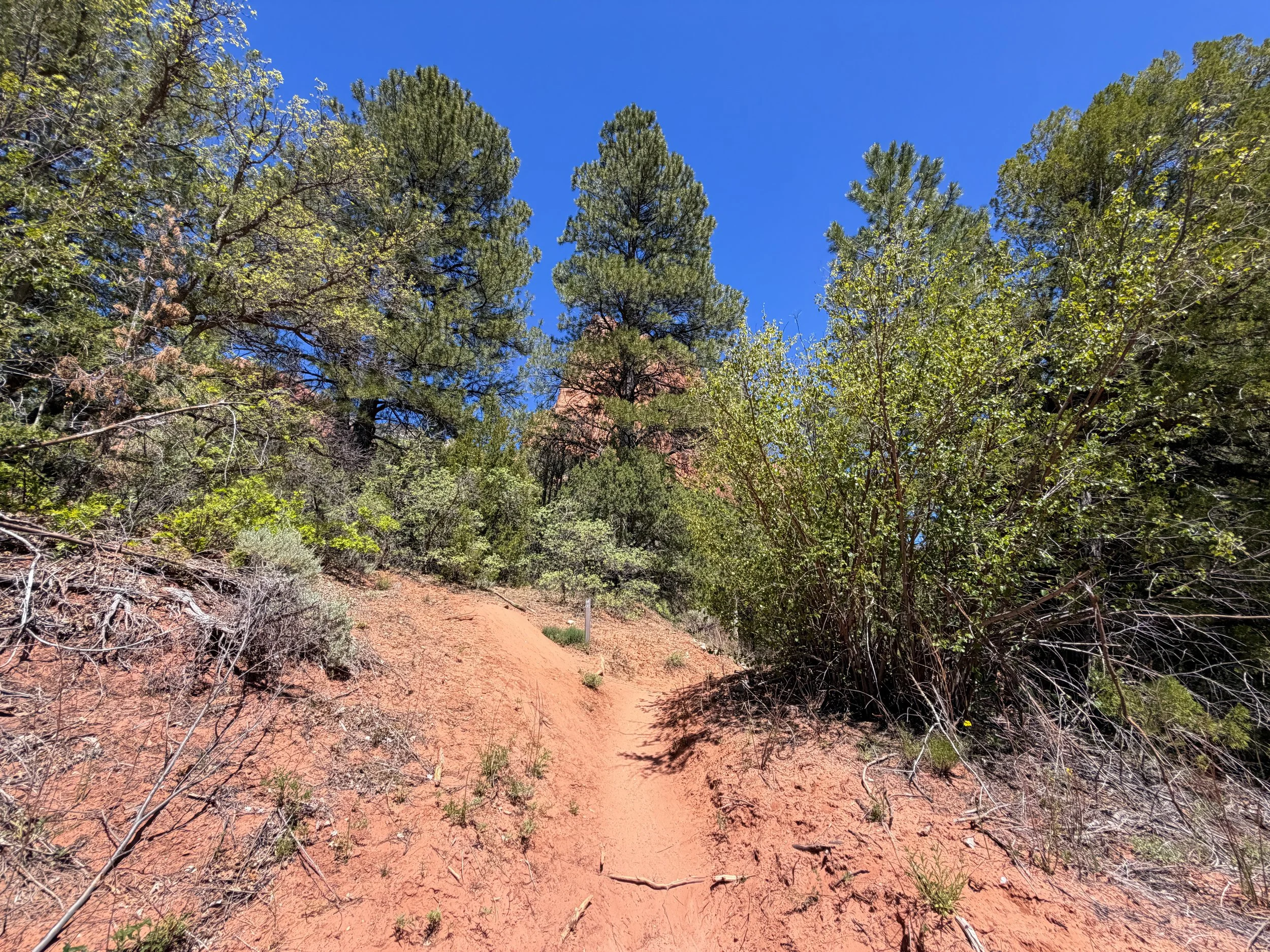 Taylor Creek Trail Zion National Park Utah