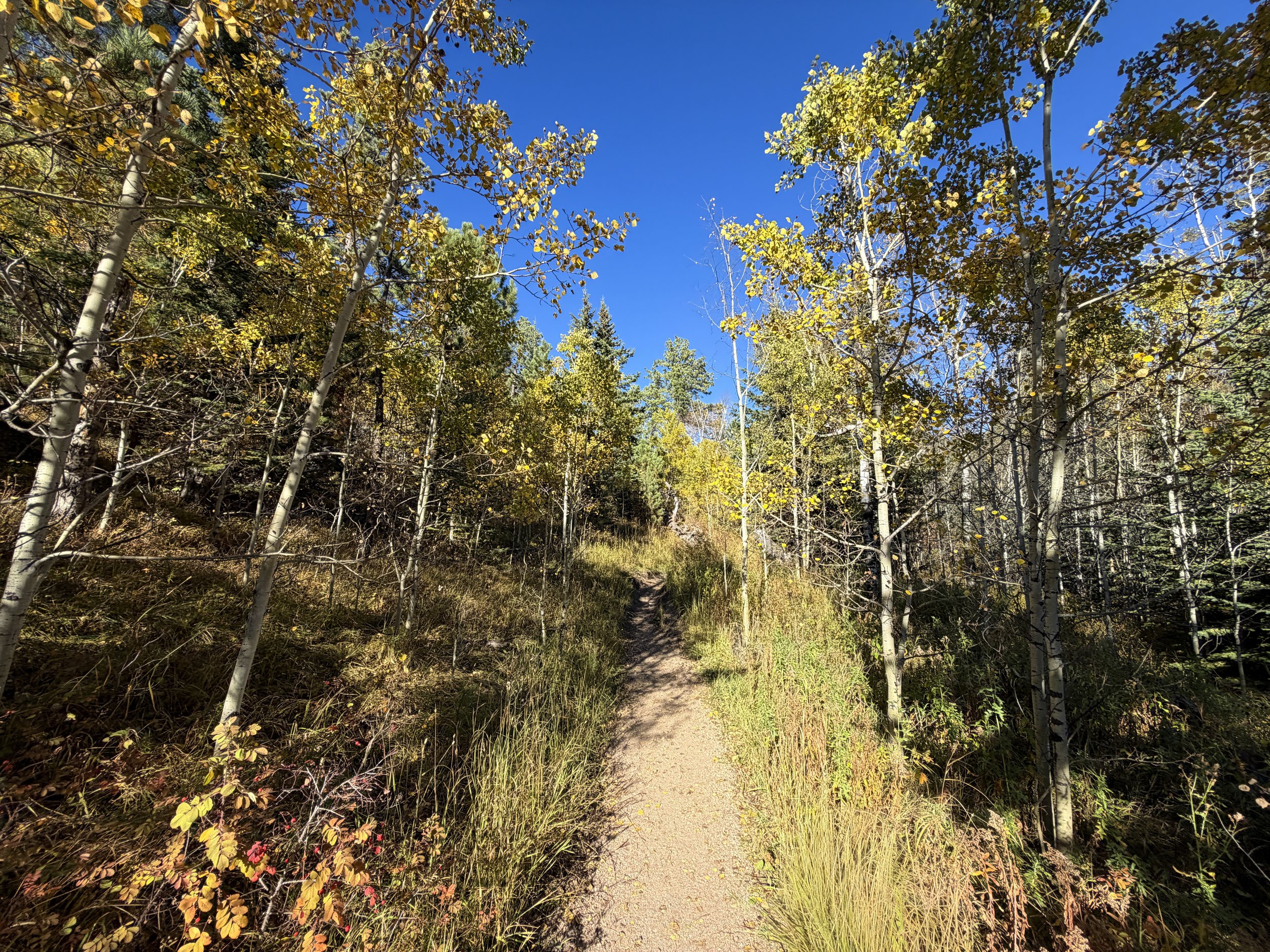Little Devils Tower Hike Custer State Park Black Hills South Dakota