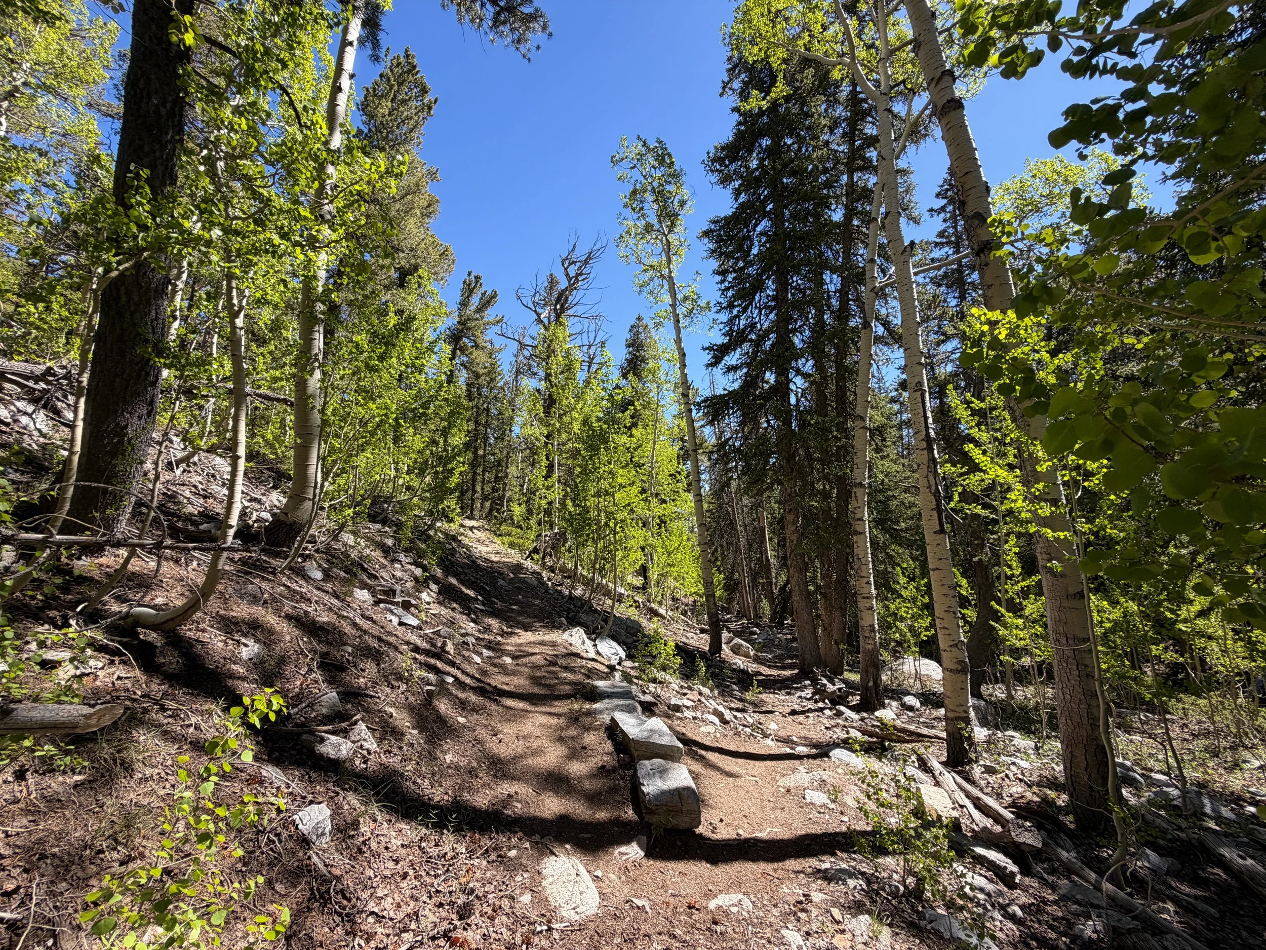 Baker Lake Trail Great Basin National Park Nevada