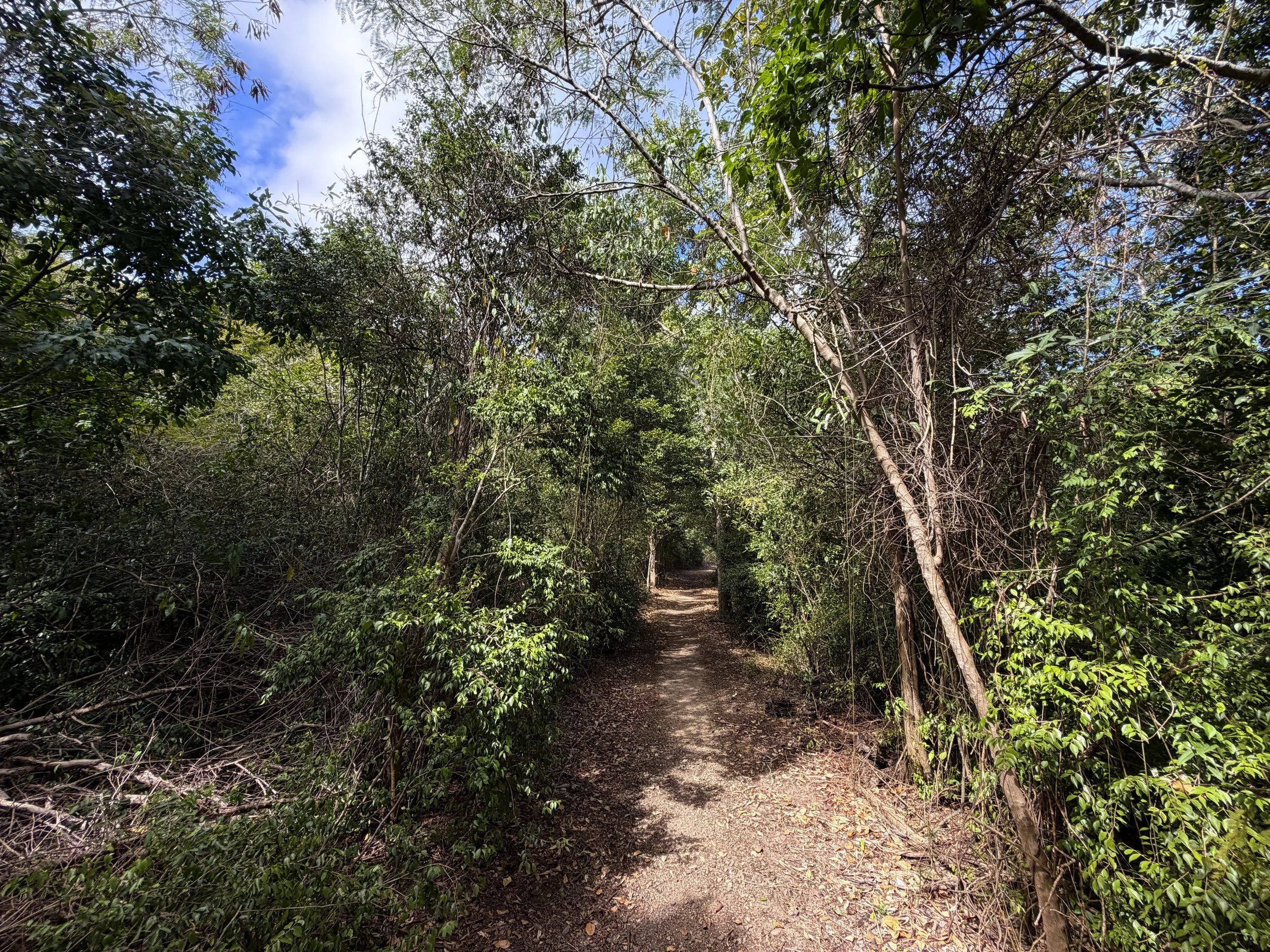Brown Bay Trail Virgin Islands National Park
