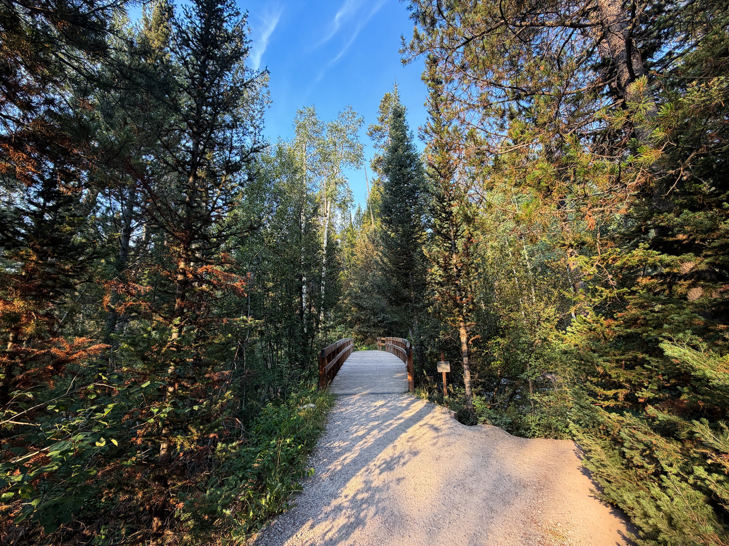 Aspen Ridge Trail Grand Teton National Park Wyoming