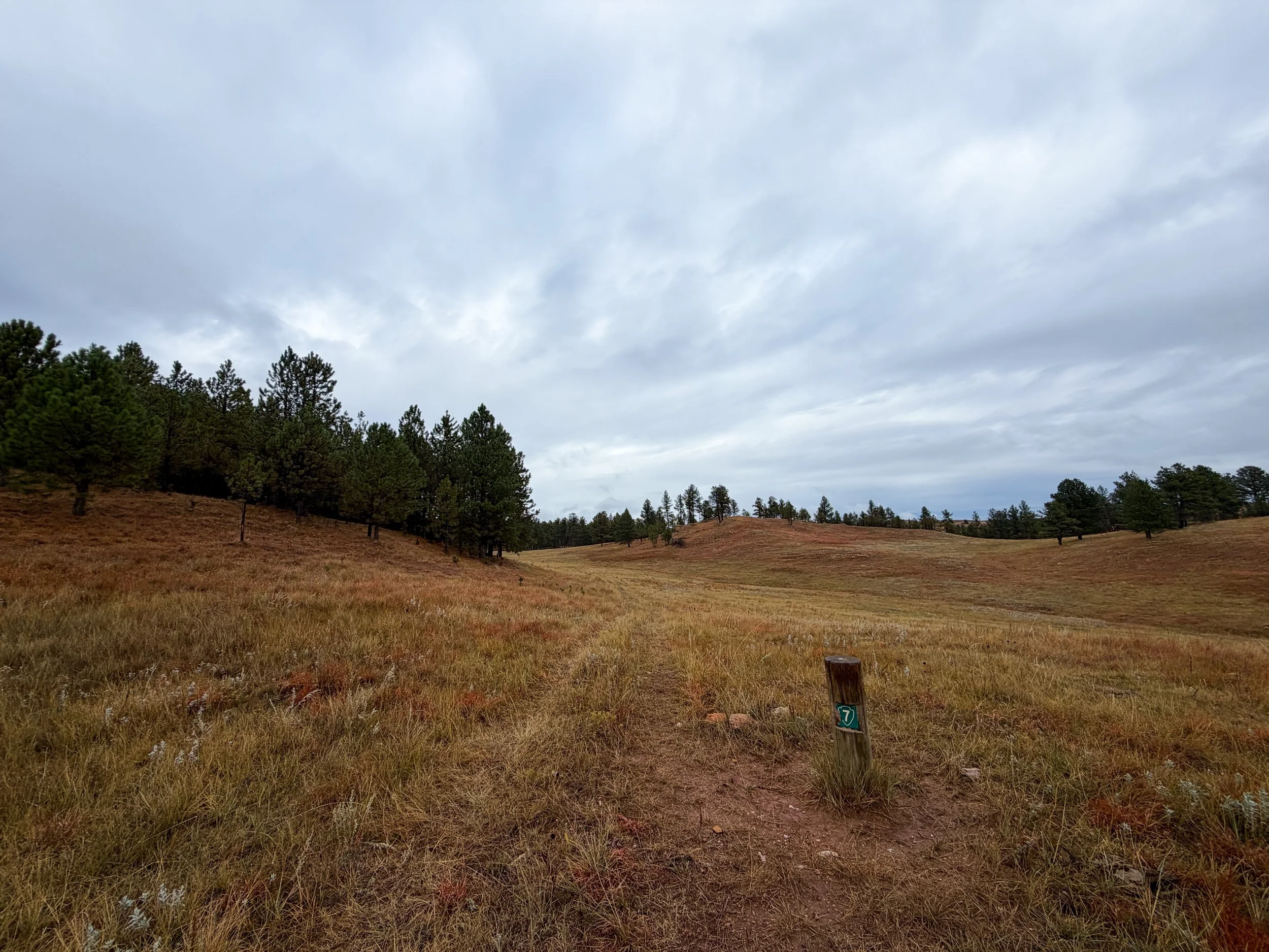 Highland Creek Trail to Wind Cave Canyon Wind Cave National Park South Dakota