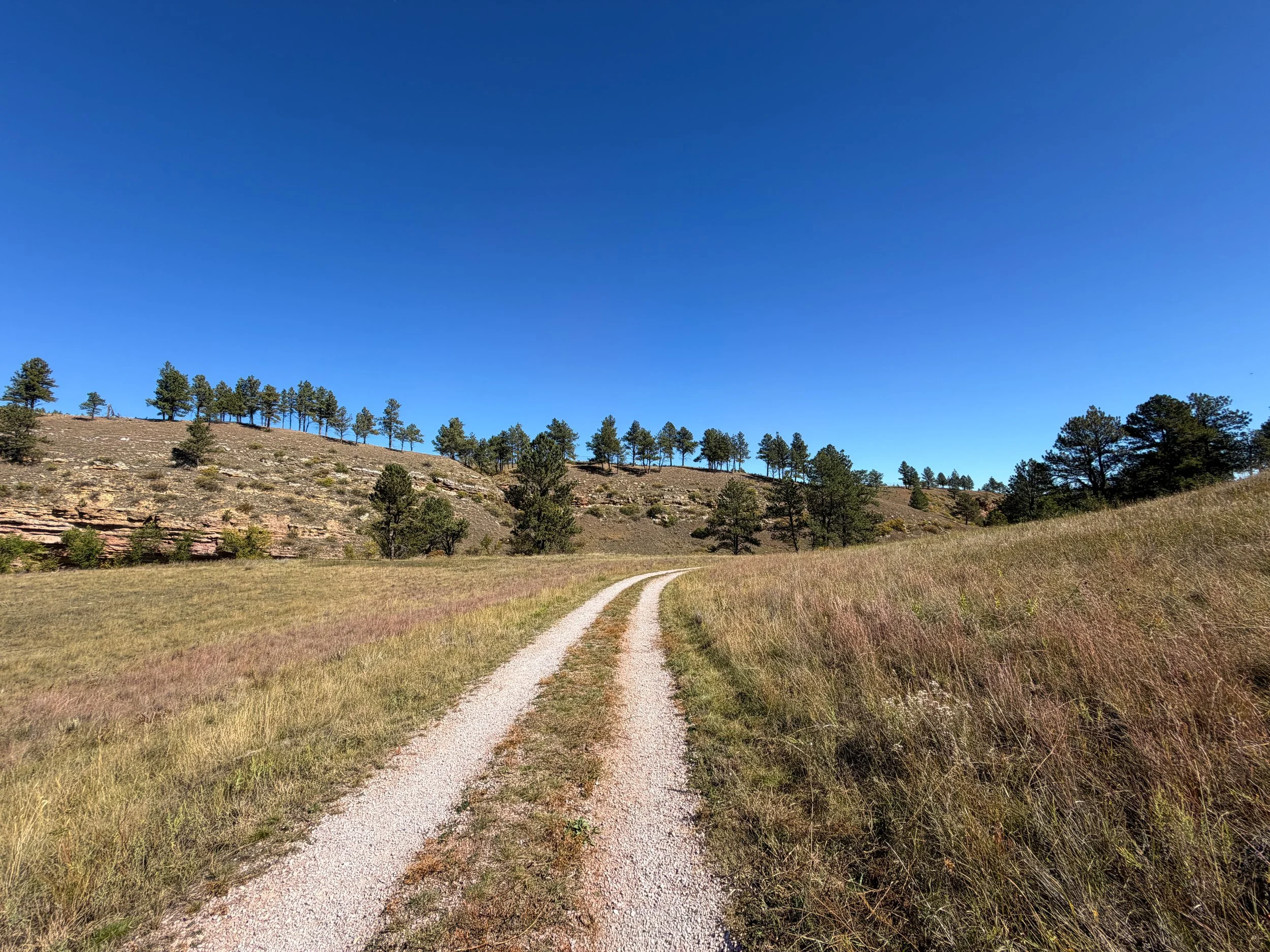 Wind Cave Canyon Trail Wind Cave National Park South Dakota
