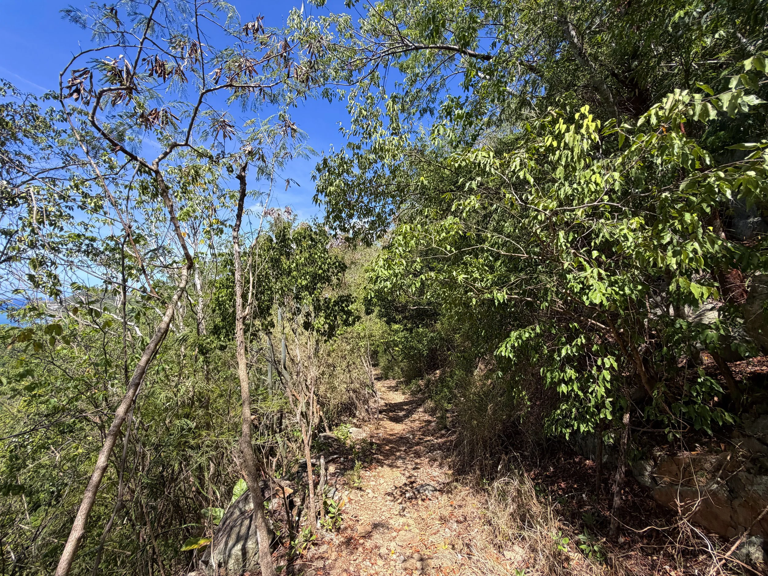 Lameshur Bay Trail to Petroglyph Trail Virgin Islands National Park