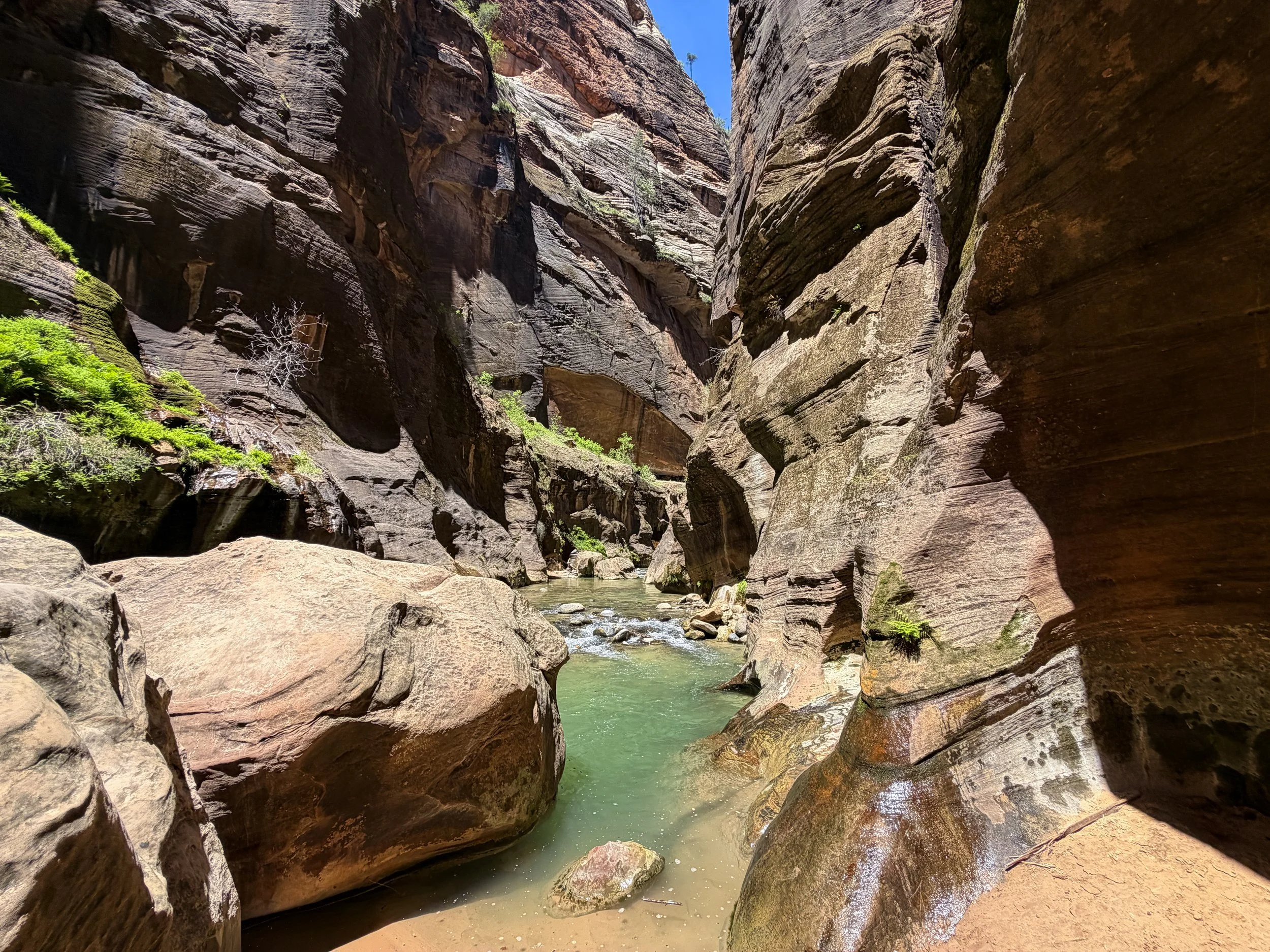 Deep Spot Narrows Zion National Park Utah