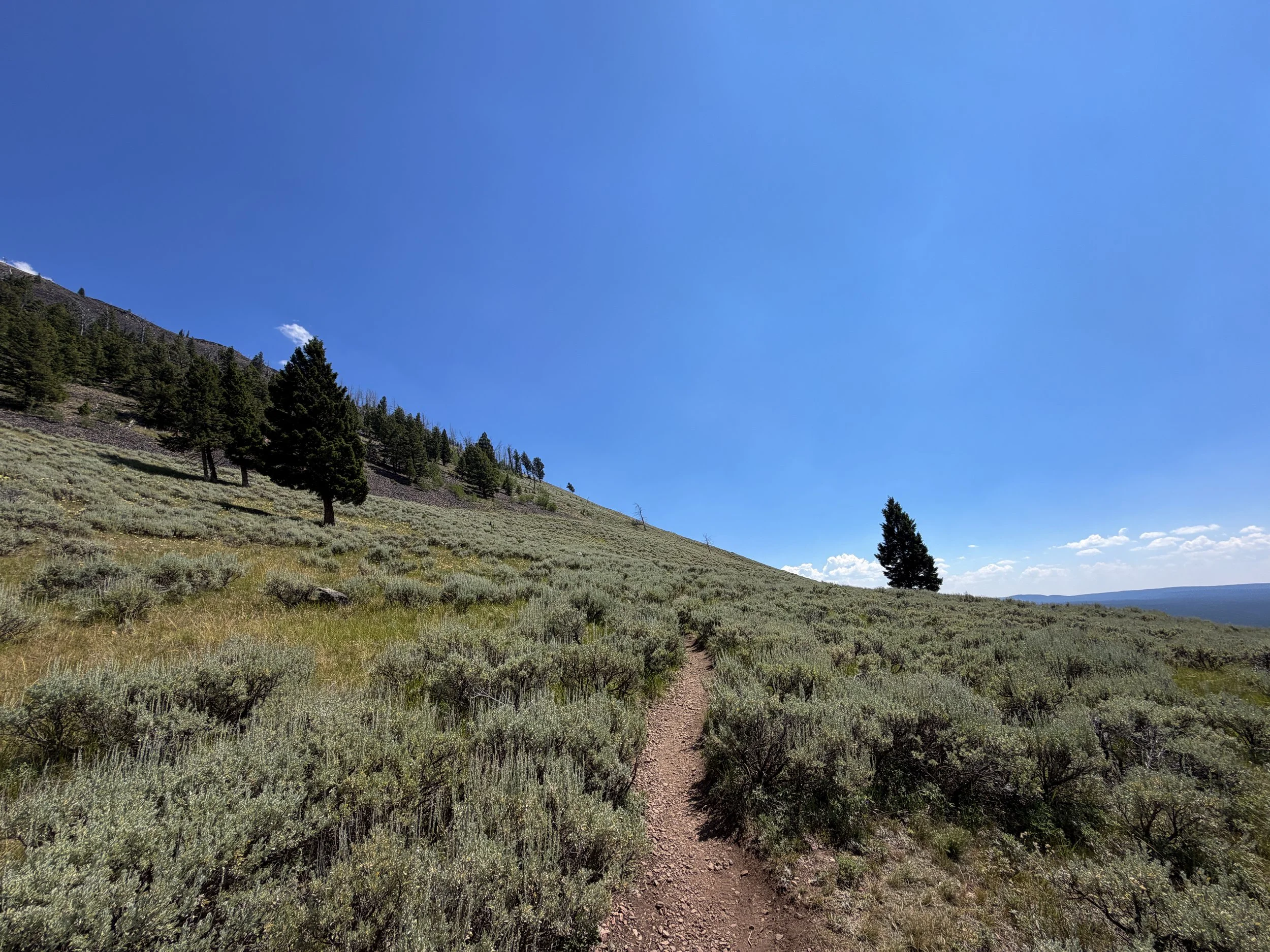 Bunsen Peak Hike Yellowstone National Park Wyoming