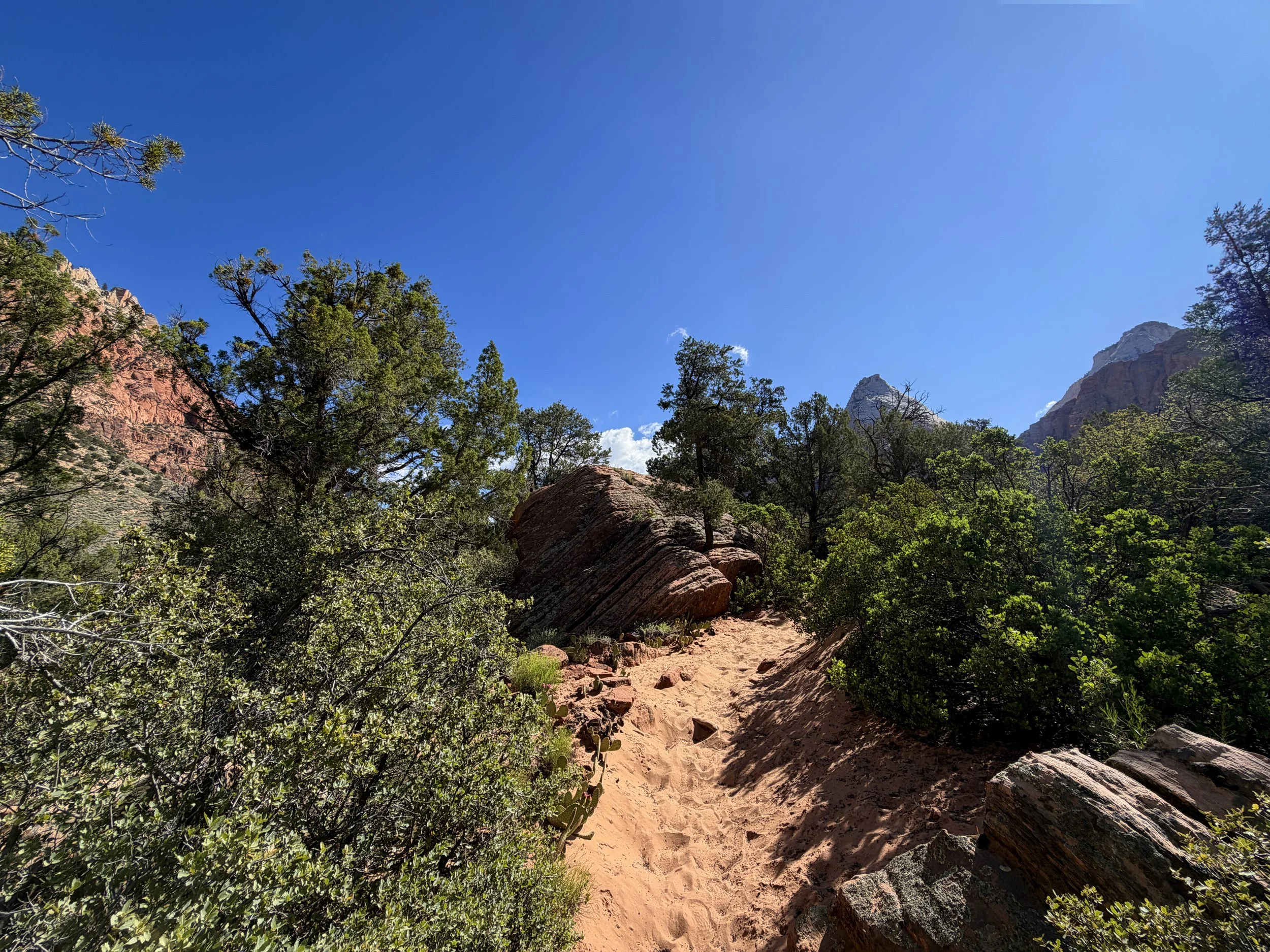 Sand Bench Trail Zion National Park Utah