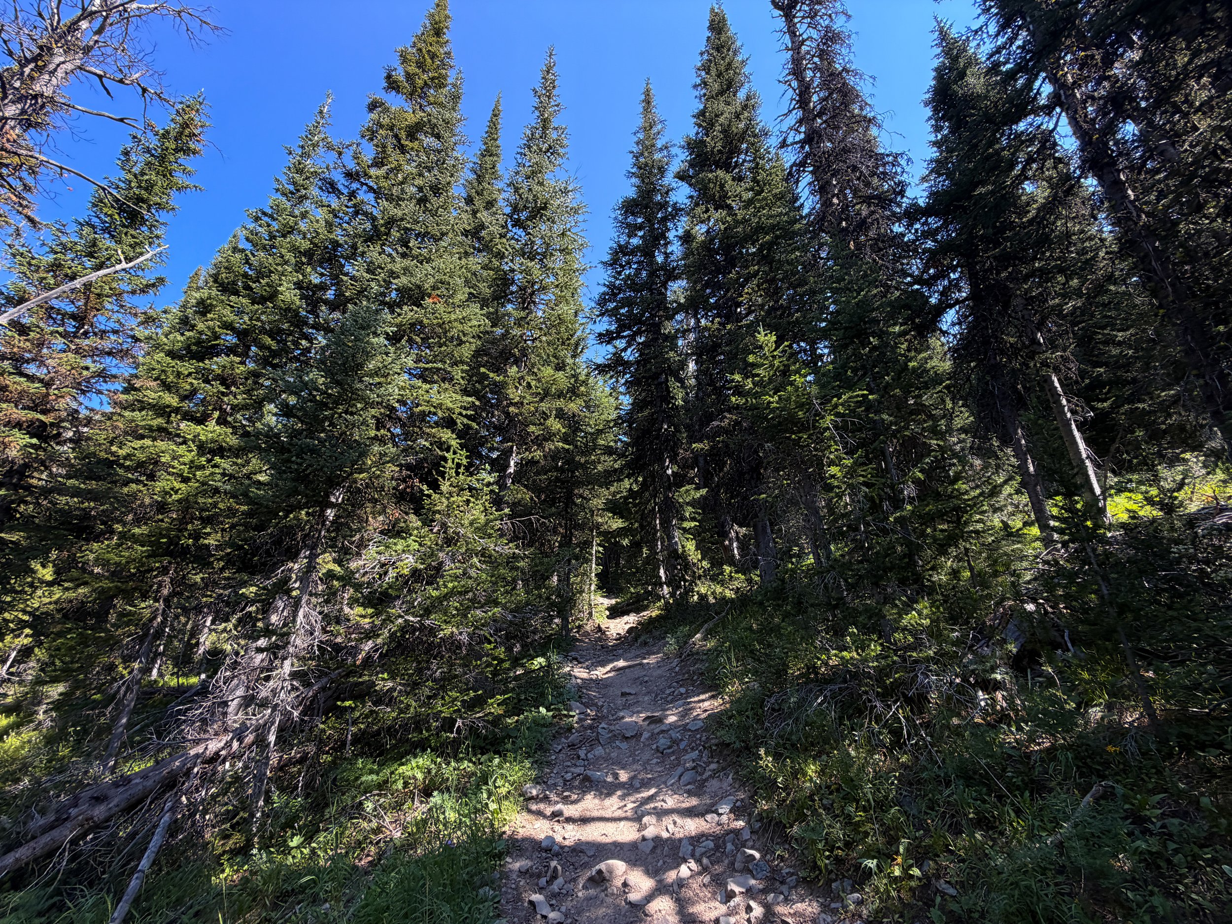 Avalanche Peak Hike Yellowstone National Park Wyoming