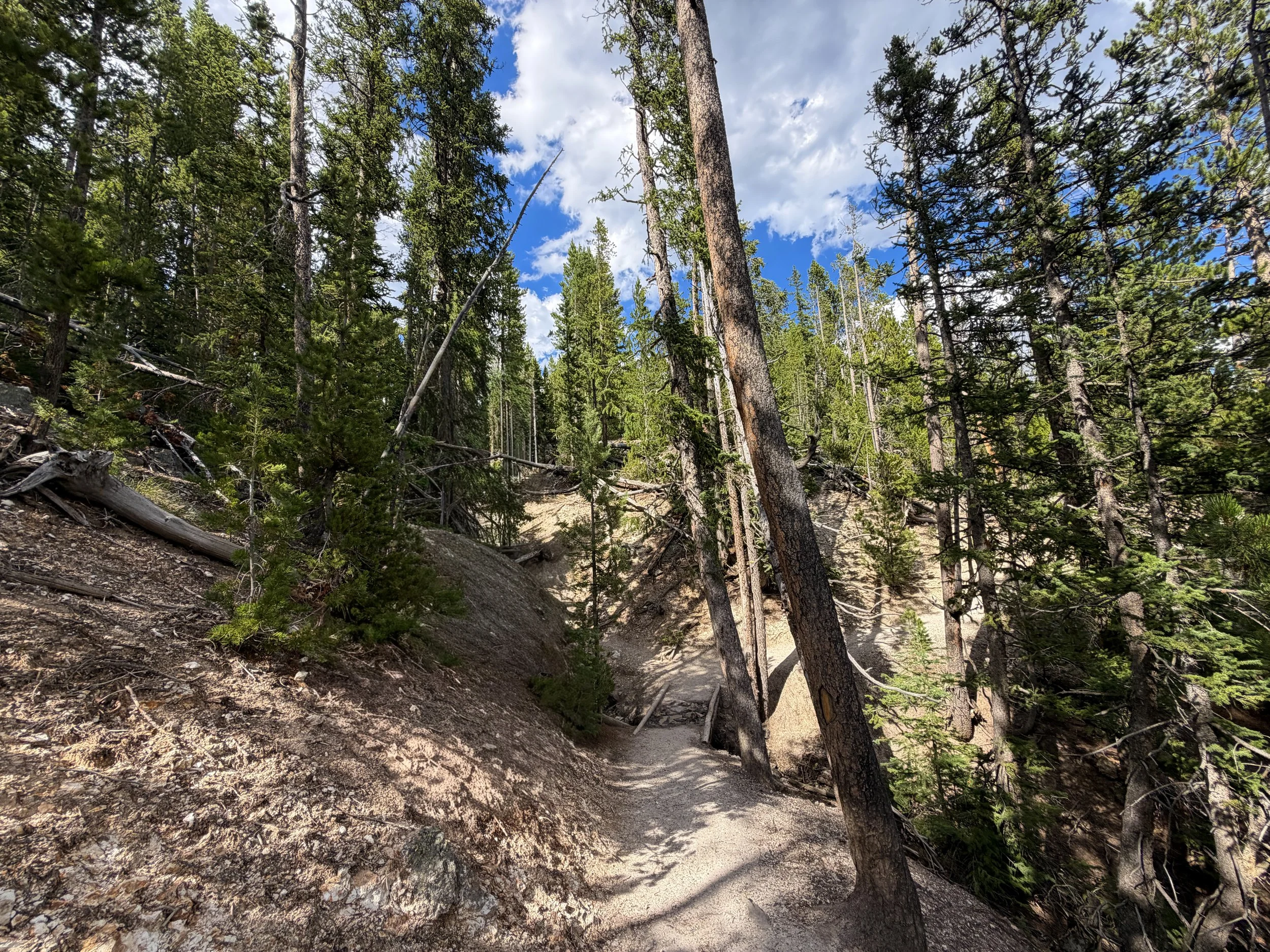 North Rim Trail Yellowstone National Park Wyoming