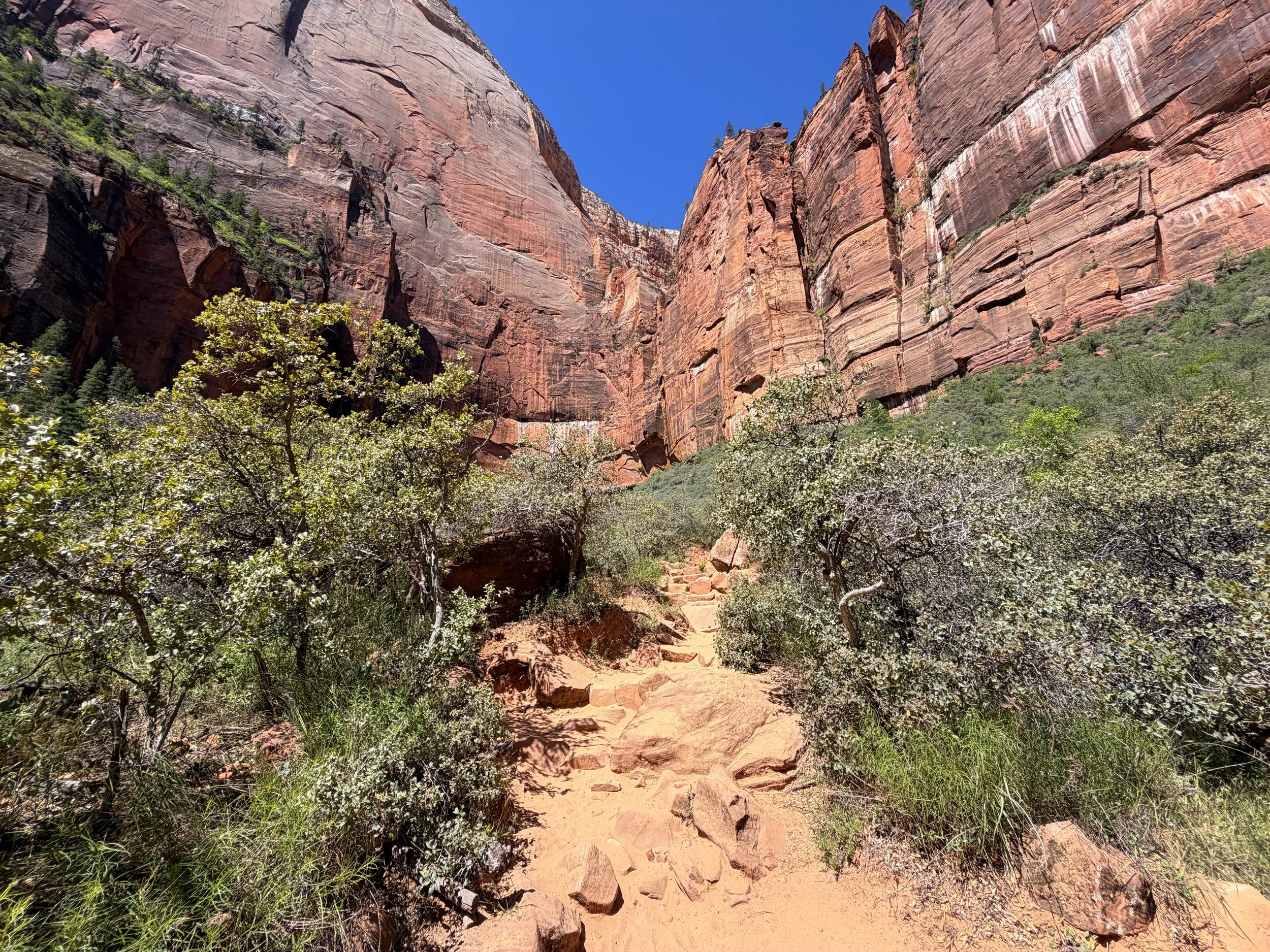 Upper Emerald Pools Trail Zion National Park Utah
