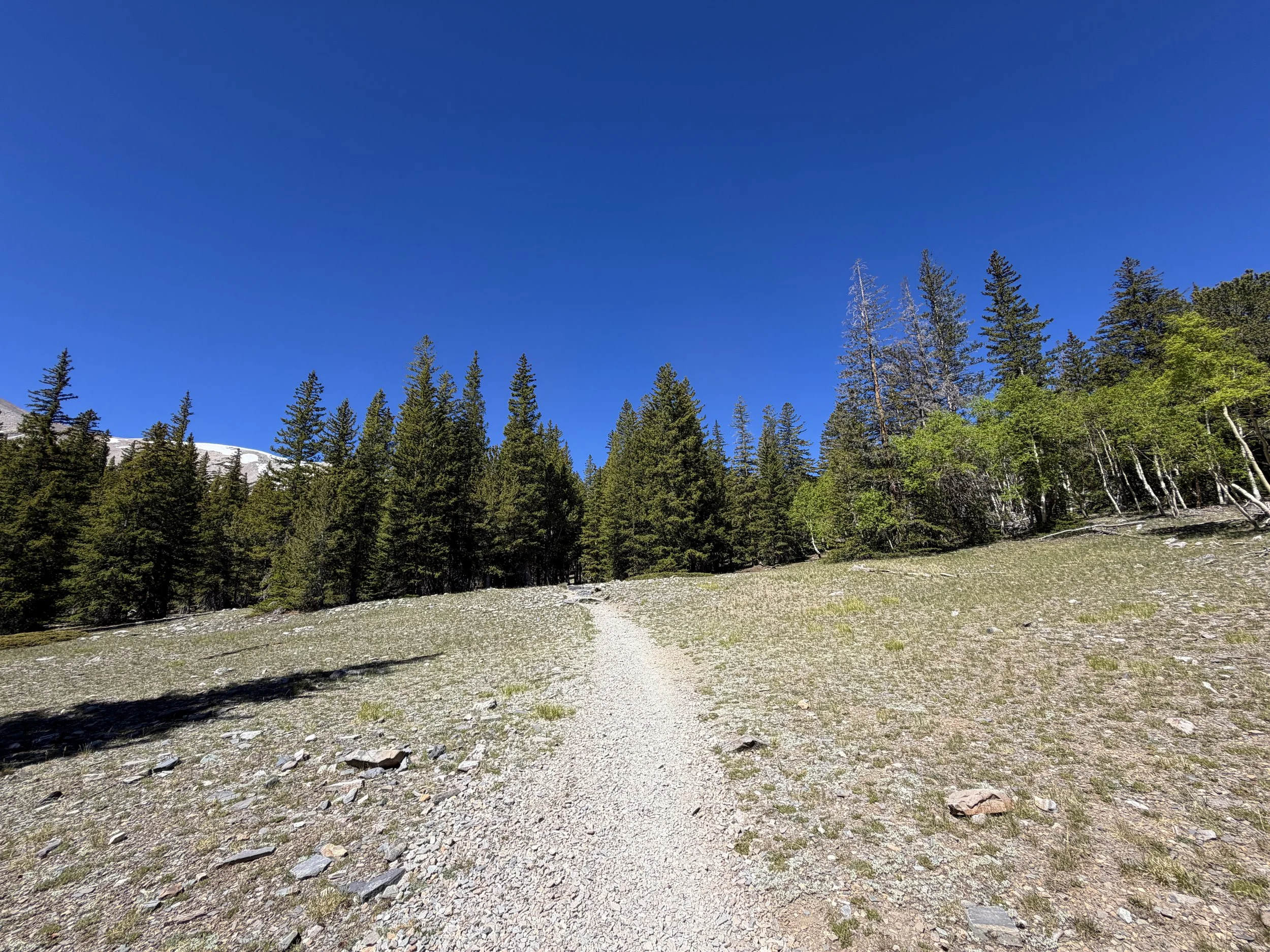 Alpine Lakes Loop Hike Great Basin National Park Nevada