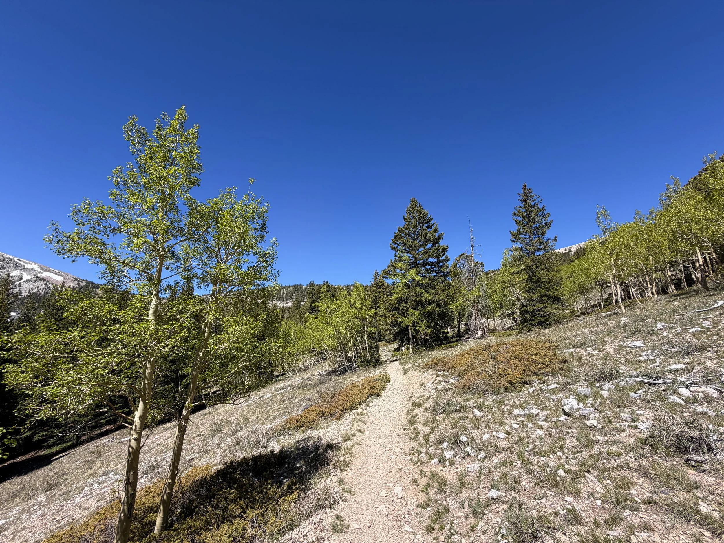 Wheeler Peak Summit Hike Great Basin National Park Nevada