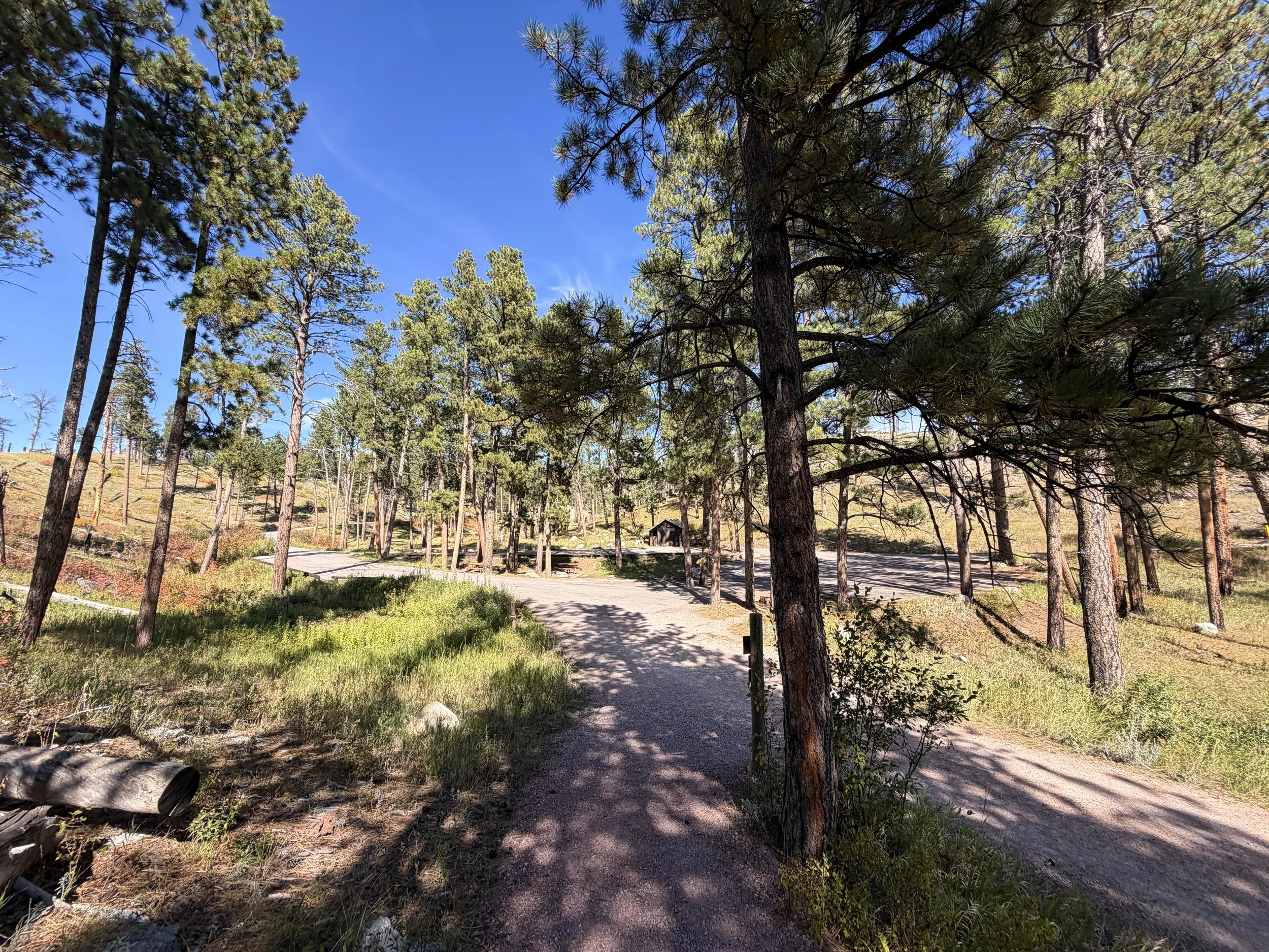 Canyons Loop Trail Jewel Cave National Monument Black Hills South Dakota