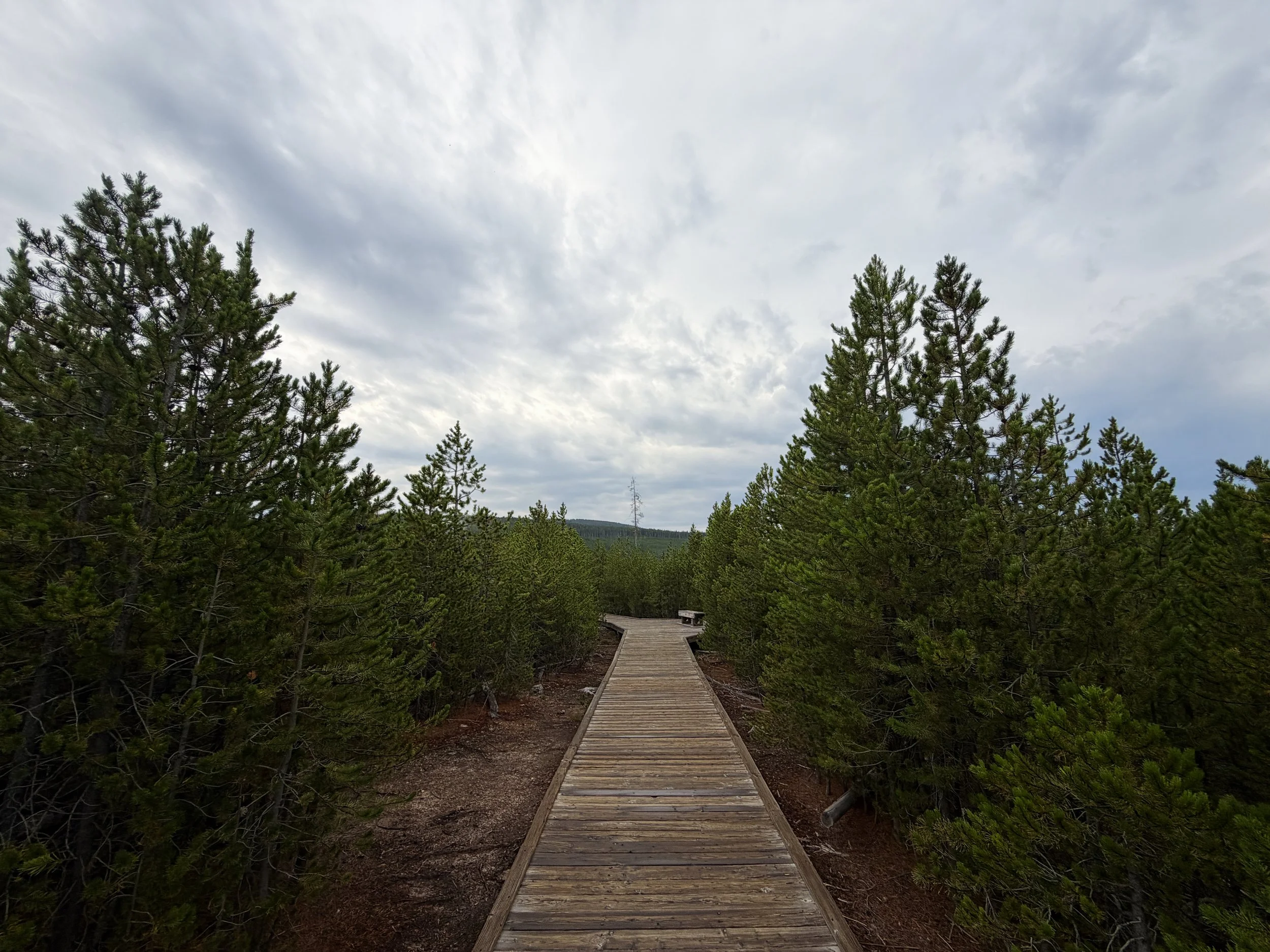 Norris Geyser Basin Trail Yellowstone National Park Wyoming
