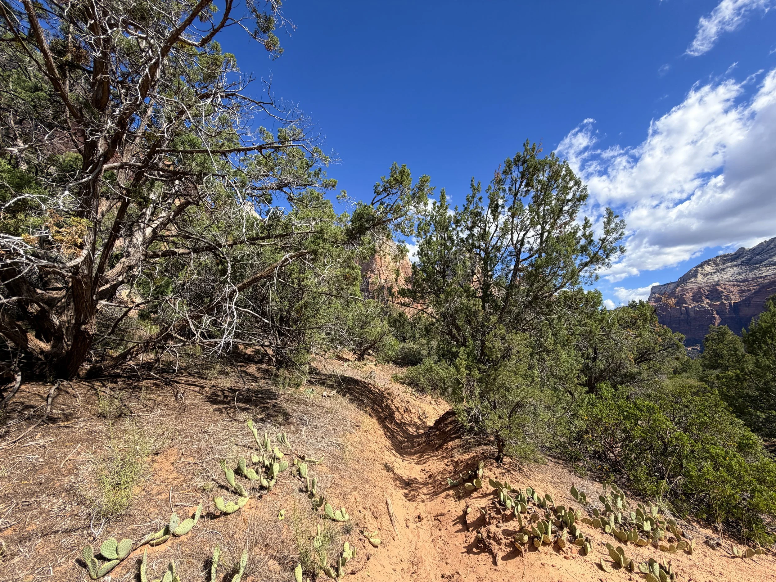 Sand Bench Loop Trail Zion National Park Utah