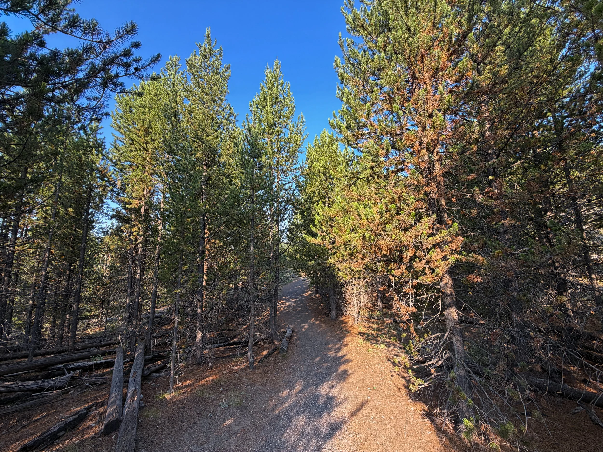 Mystic Falls Hike Yellowstone National Park Wyoming