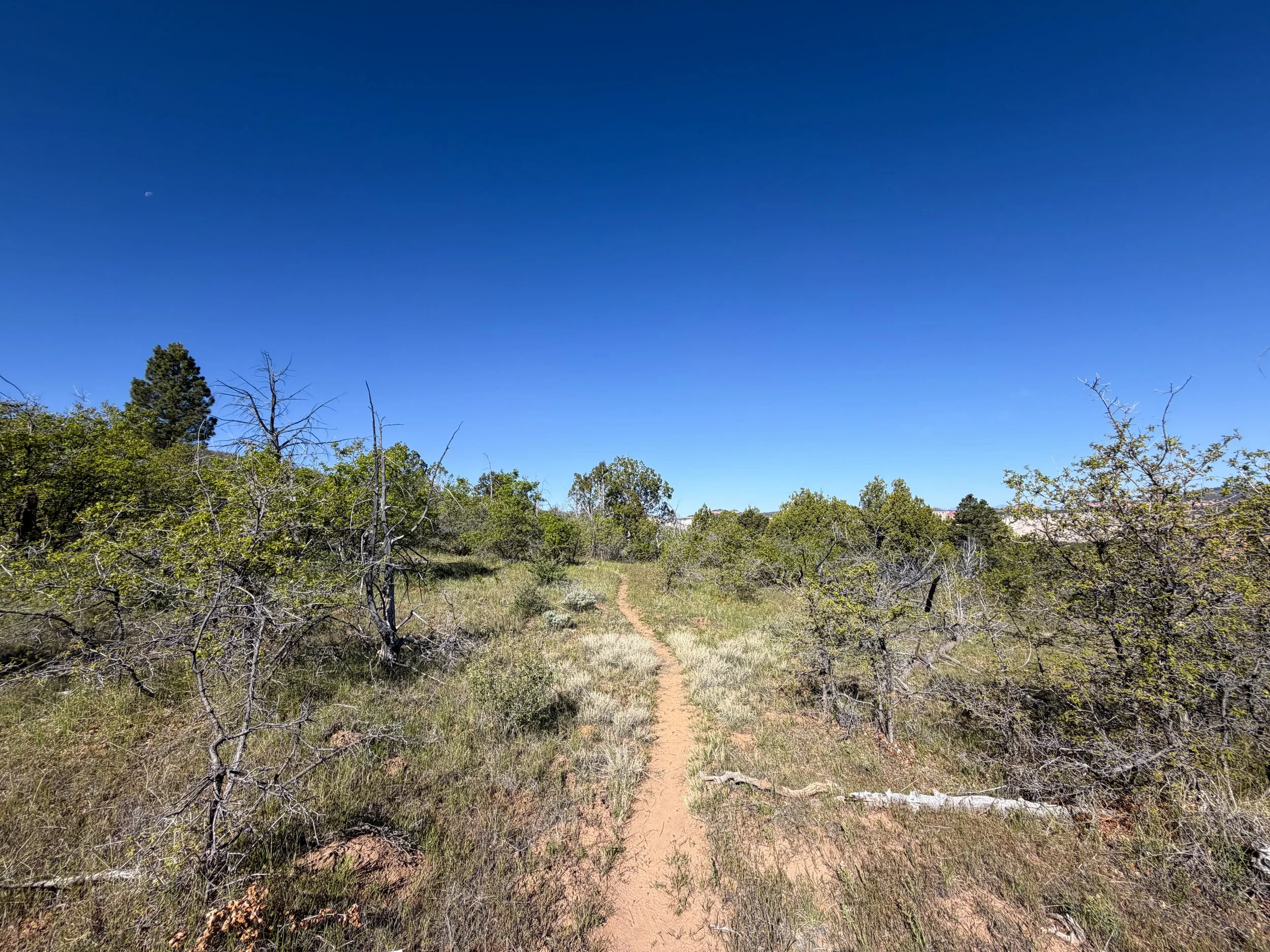 Deertrap Mountain Trail Zion National Park Utah