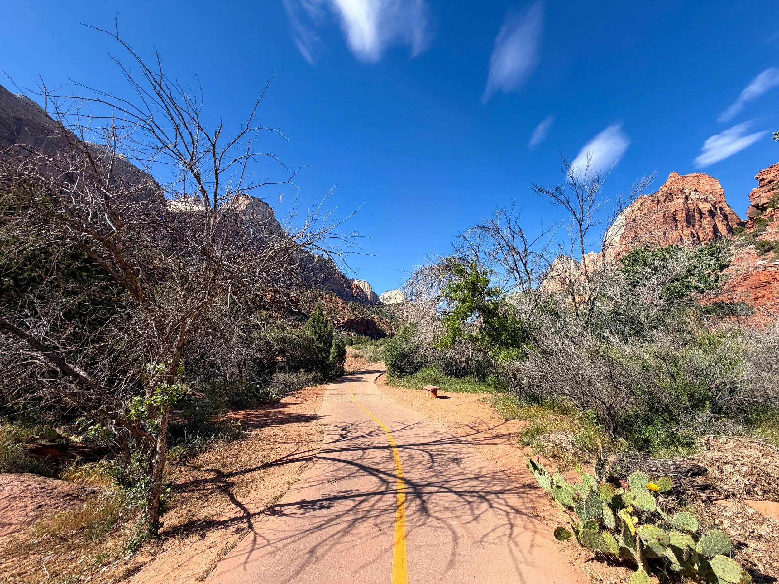 Parus Bike Trail Zion National Park Utah