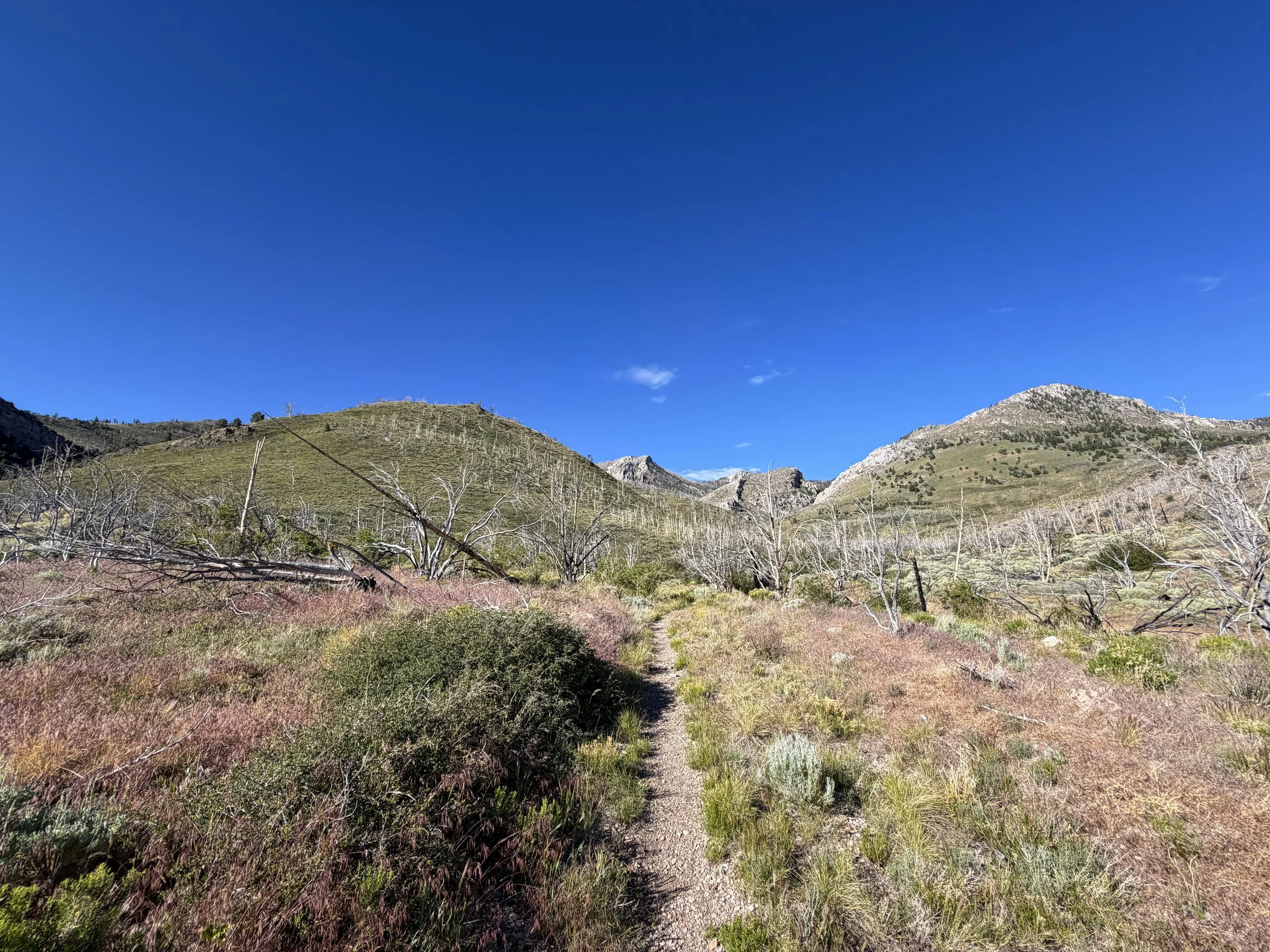 Lexington Arch Hike Great Basin National Park Nevada