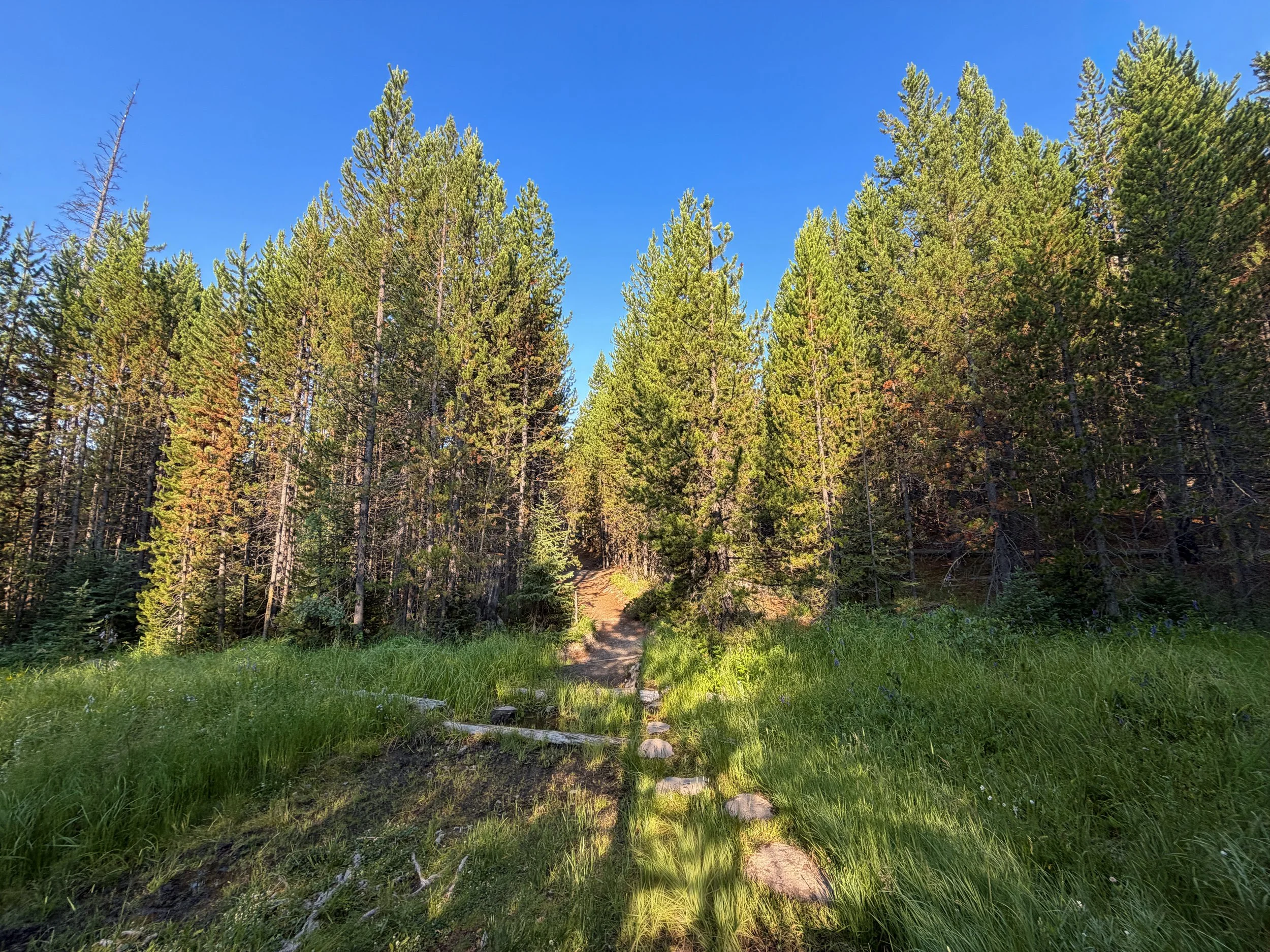 Mystic Falls Hike Yellowstone National Park Wyoming