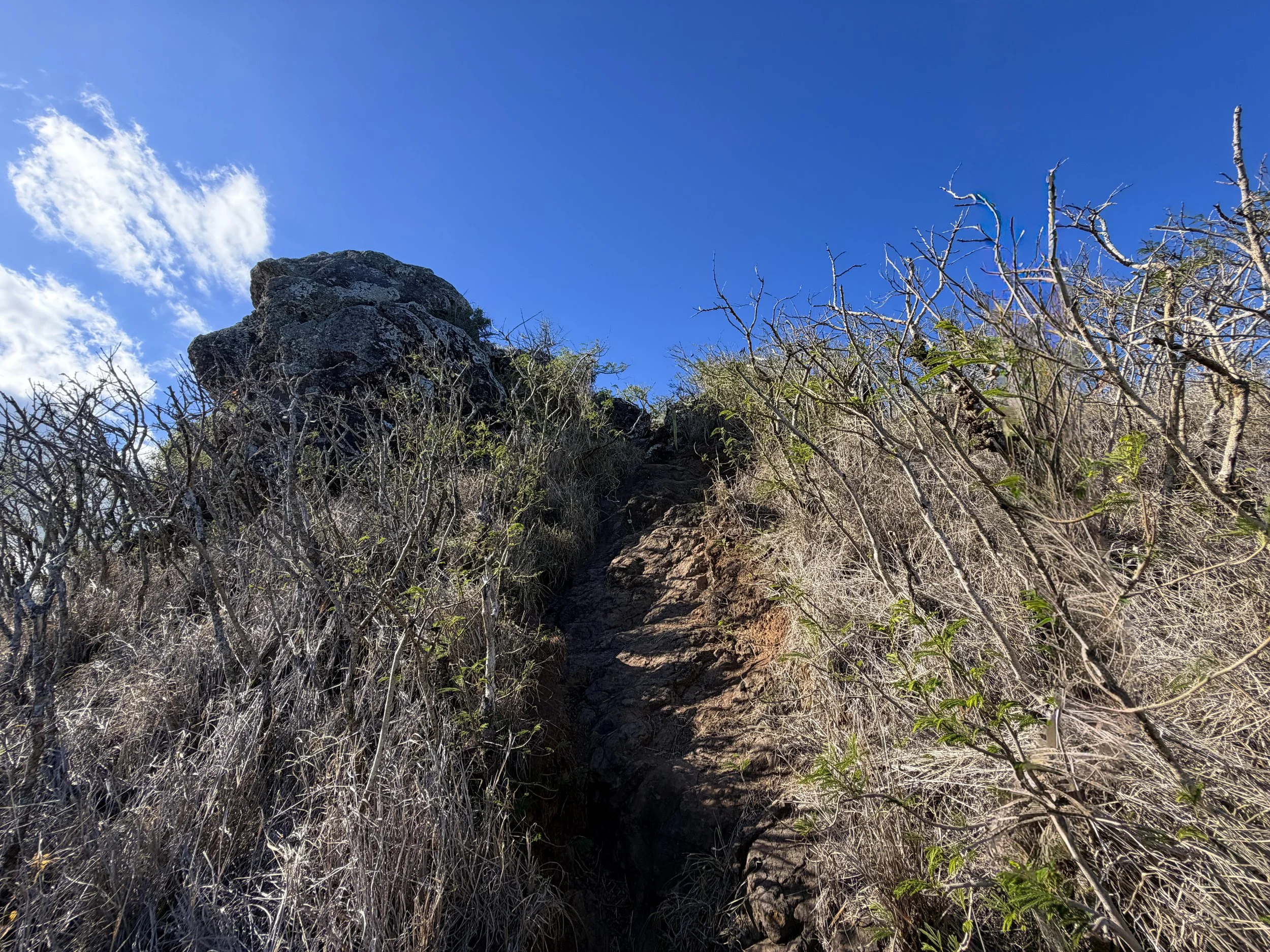 Back Lanikai Pillbox Trail Oahu Hawaii