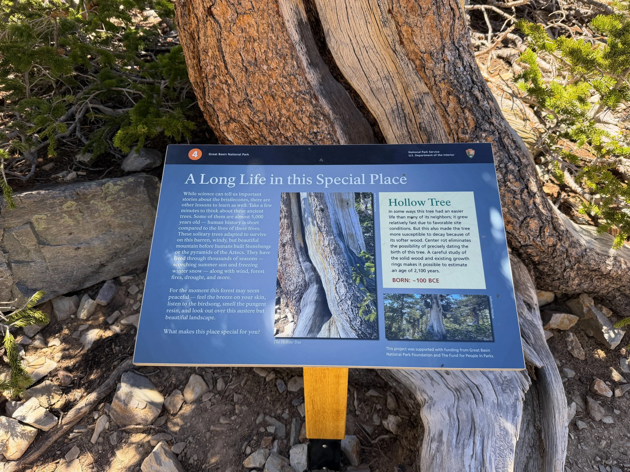 Bristlecone Pine Loop Trail Great Basin National Park Nevada